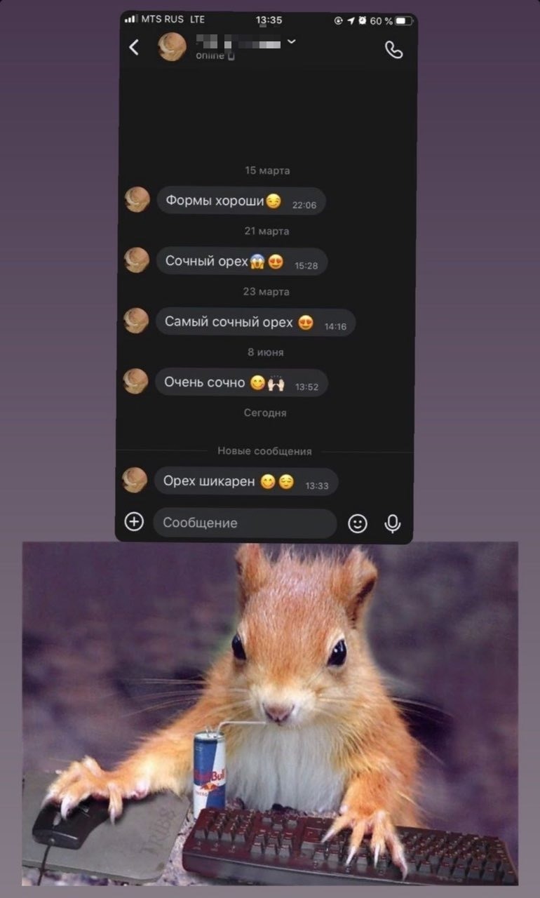 Nut - Correspondence, Instagram, Screenshot, Squirrel, Nuts, In contact with, Repeat