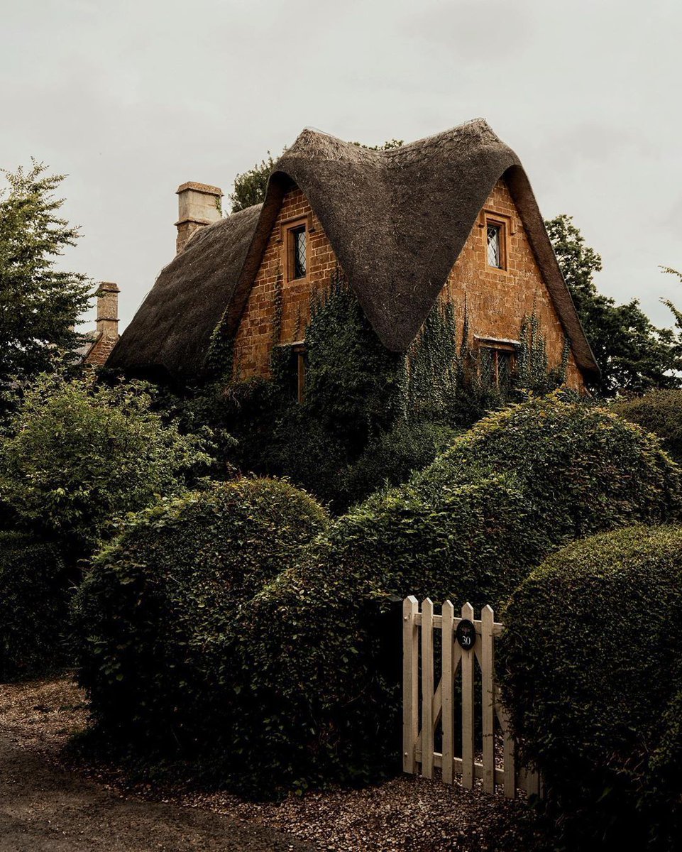 Small house - House, Greenery