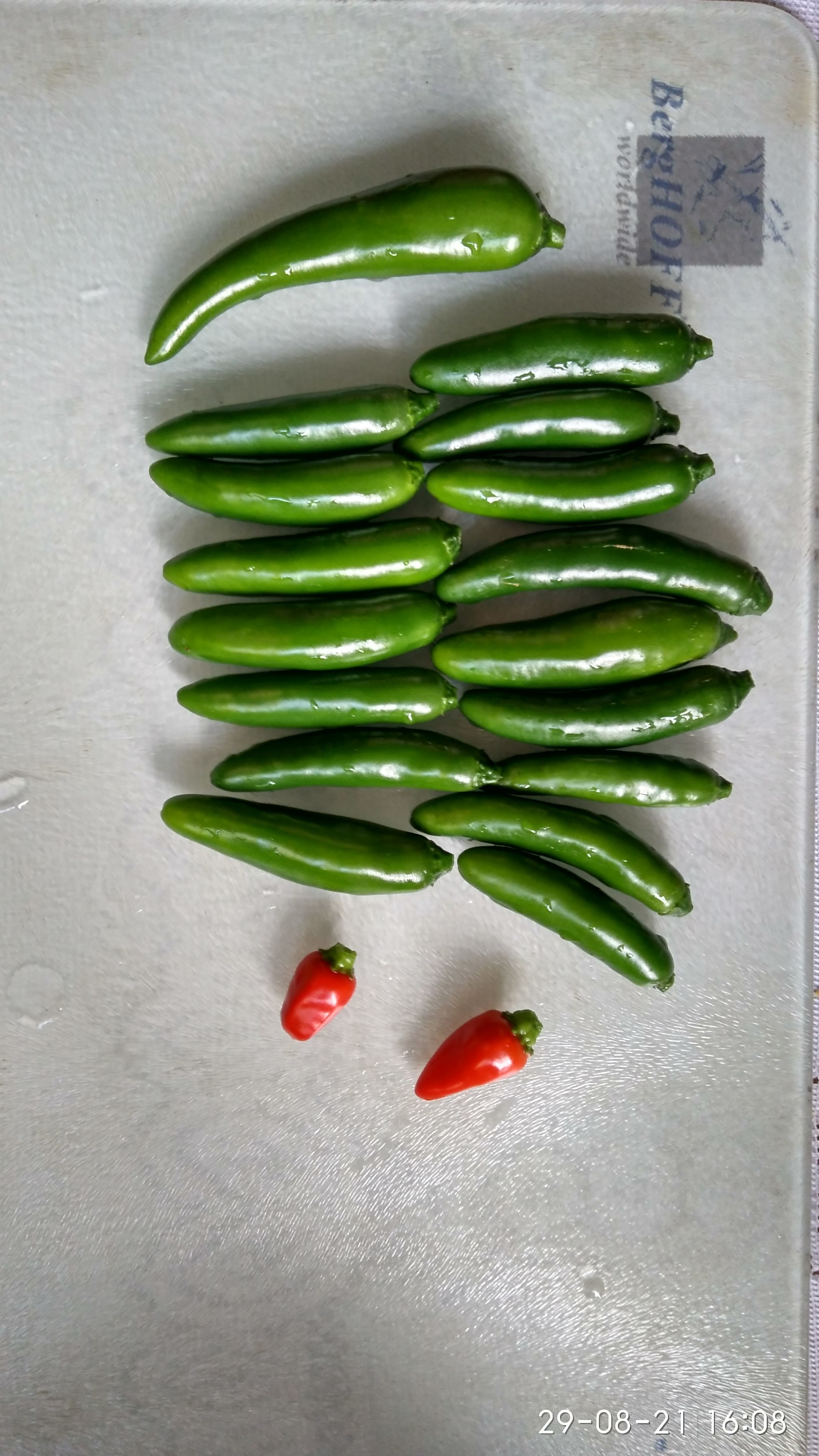 my pepper - My, Food, Snack, Recipe, Video recipe, Hot peppers, Longpost