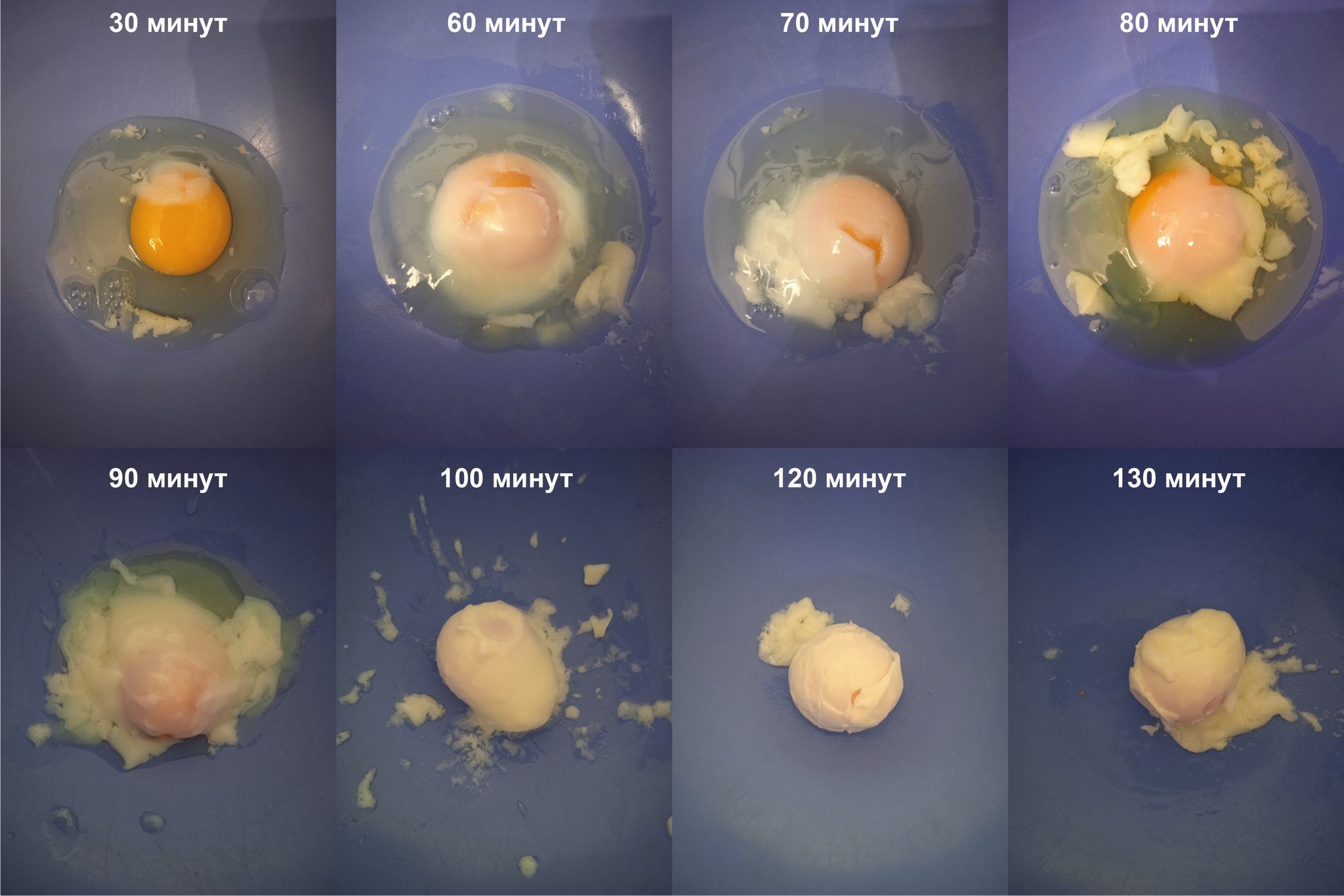 eggs in the sauna - My, Experiment, Cooking