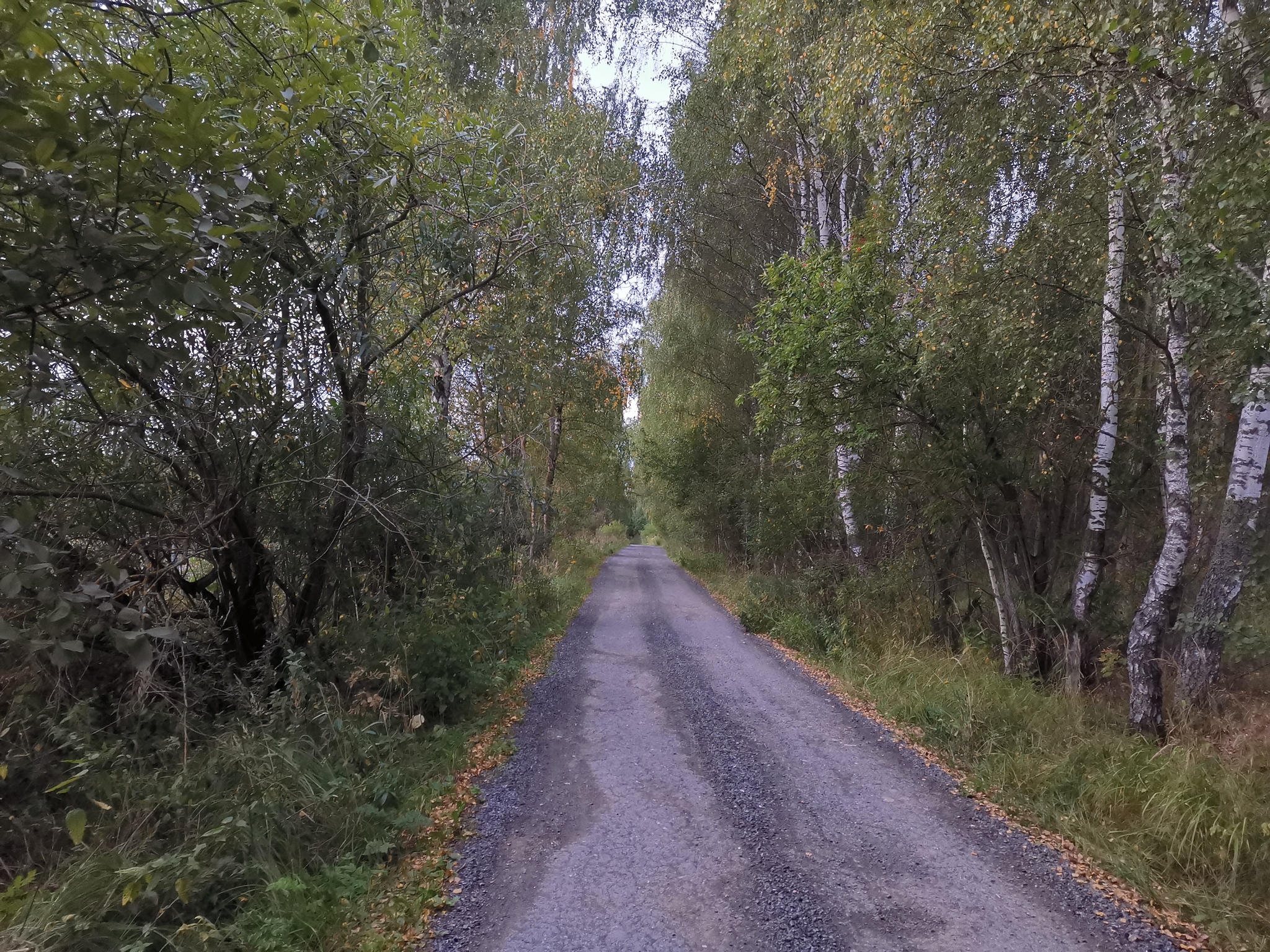 A trip to the waterfall Rainbow is: - My, A bike, Cyclist, Pokatushki, Waterfall, Nature, Mobile photography, The photo, Kaluga region, , Moscow region, sights, Longpost