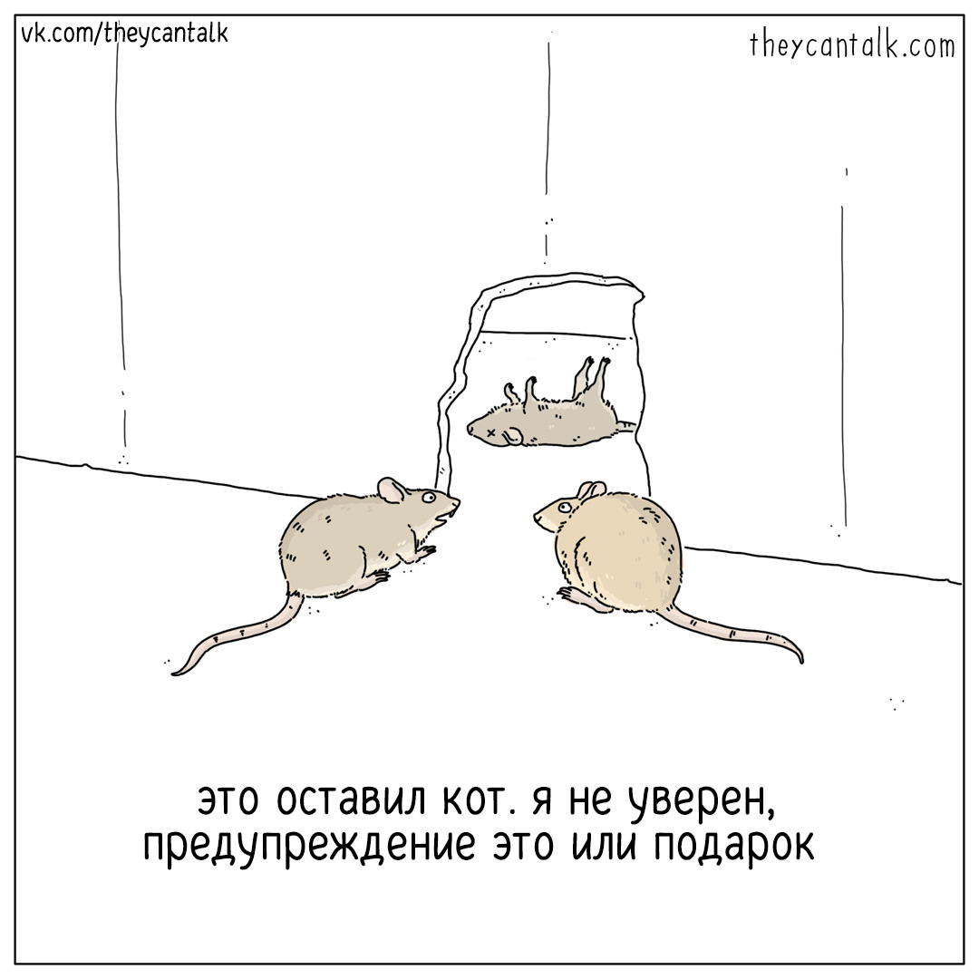 Doubt - Web comic, Comics, Translation, Mouse, Animals, Theycantalk