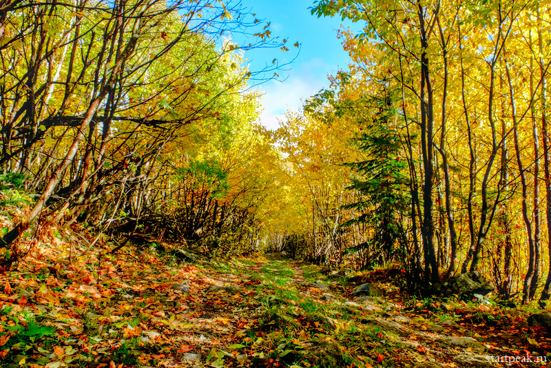 Golden autumn in the mountains. Sadness and magic - Arkhyz, North Caucasus, Hiking, Tracking, Hike, Tourism, Travel across Russia, Longpost