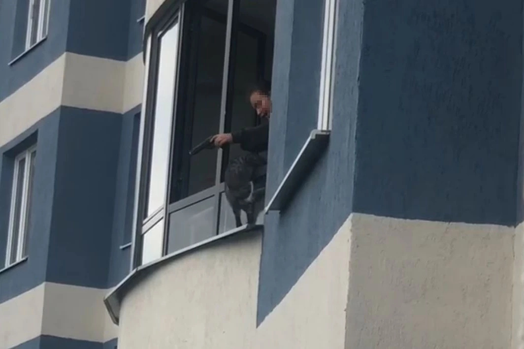 “She hit with a gun and shot at an animal”: in Yekaterinburg, a girl threatened to throw a cat from the 9th floor - Yekaterinburg, Cruelty, Cruelty to animals, Video, Longpost, Negative, Flailing