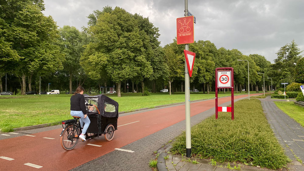 How to get rid of traffic jams and crowded public transport - We cross a snake and a parrot - My, Road, Electric scooter, A bike, Urbanism, Public transport, Life hack, Auto, Bus, , Metro, Longpost, GIF