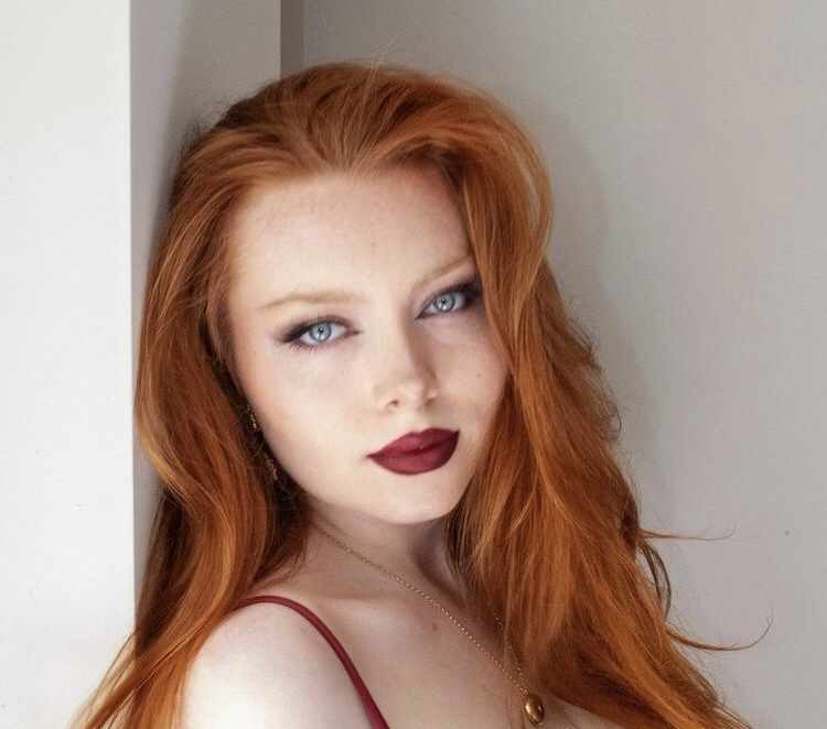 Рыжики | Пикабу