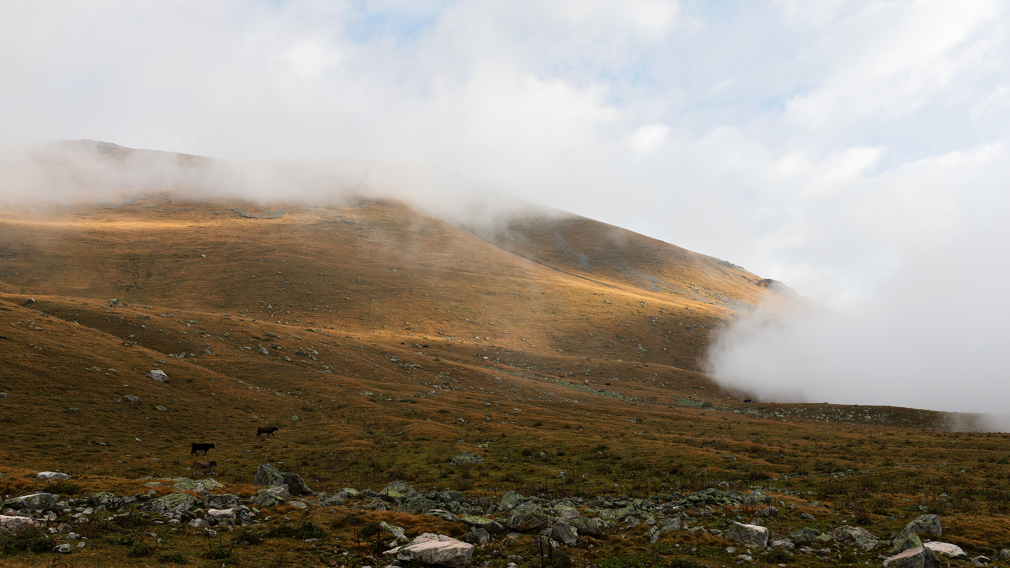 Long Post - The mountains, Caucasus, Karachay-Cherkessia, Autumn, Hike, Longpost