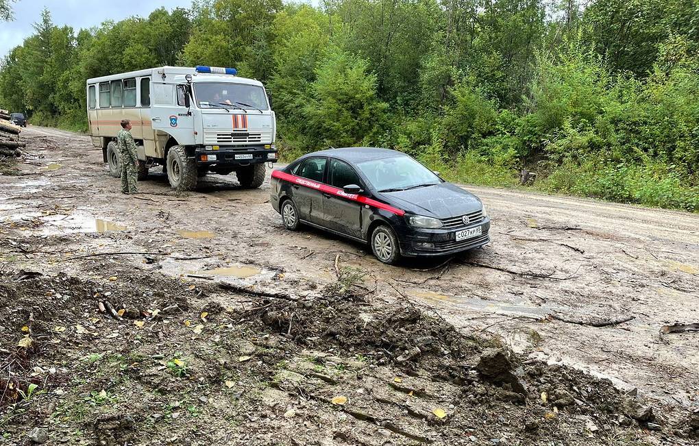 На Сахалине нашли живыми женщин, пропавших в лесу неделю назад - Моё, Новости, ТАСС, Негатив, Сахалин, Лес, Спасение, Спасение жизни