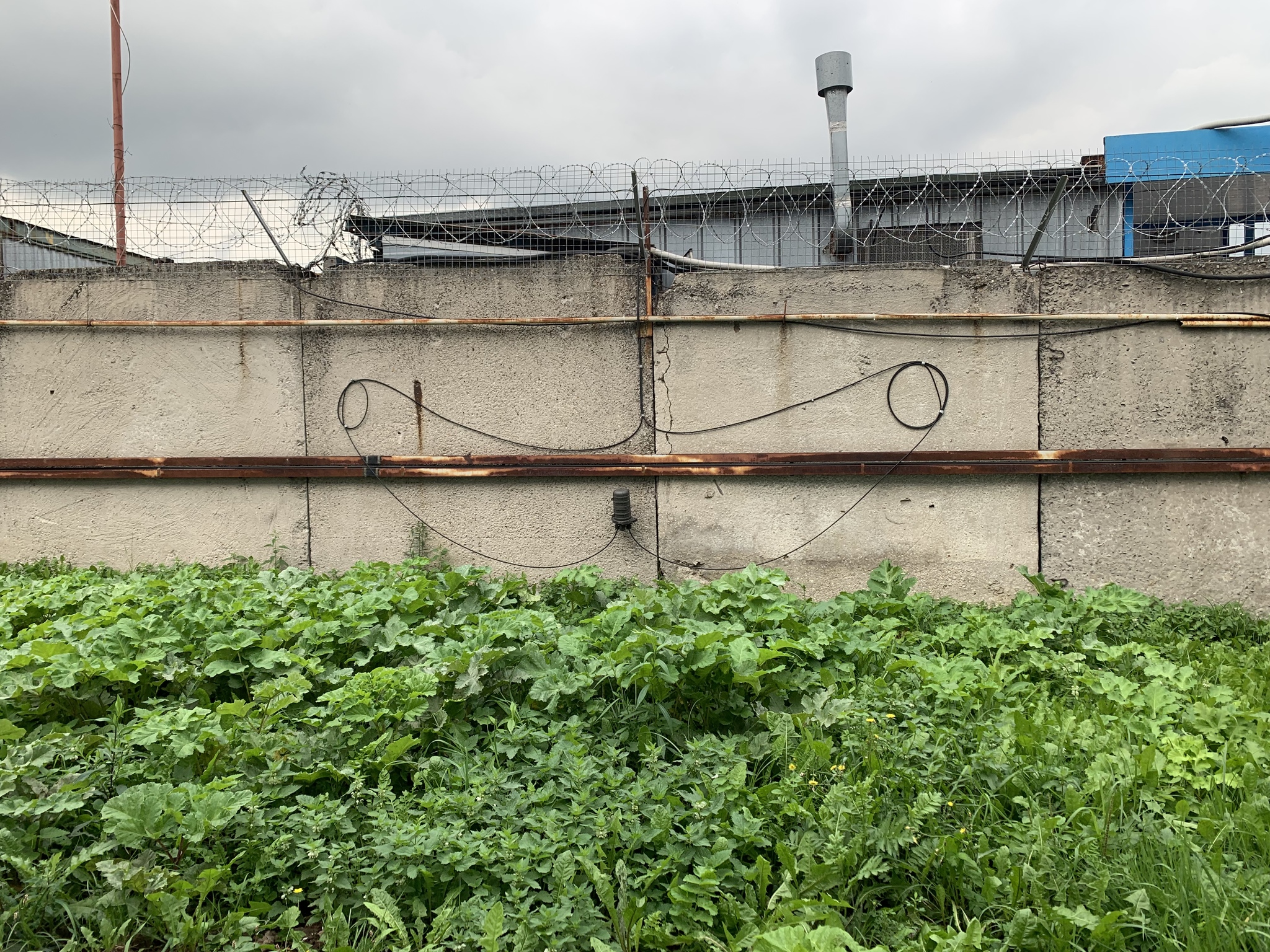 Creativity ... - My, Fiber optics, Coupling, Butterfly, Unconventional approach, It seemed, Fence