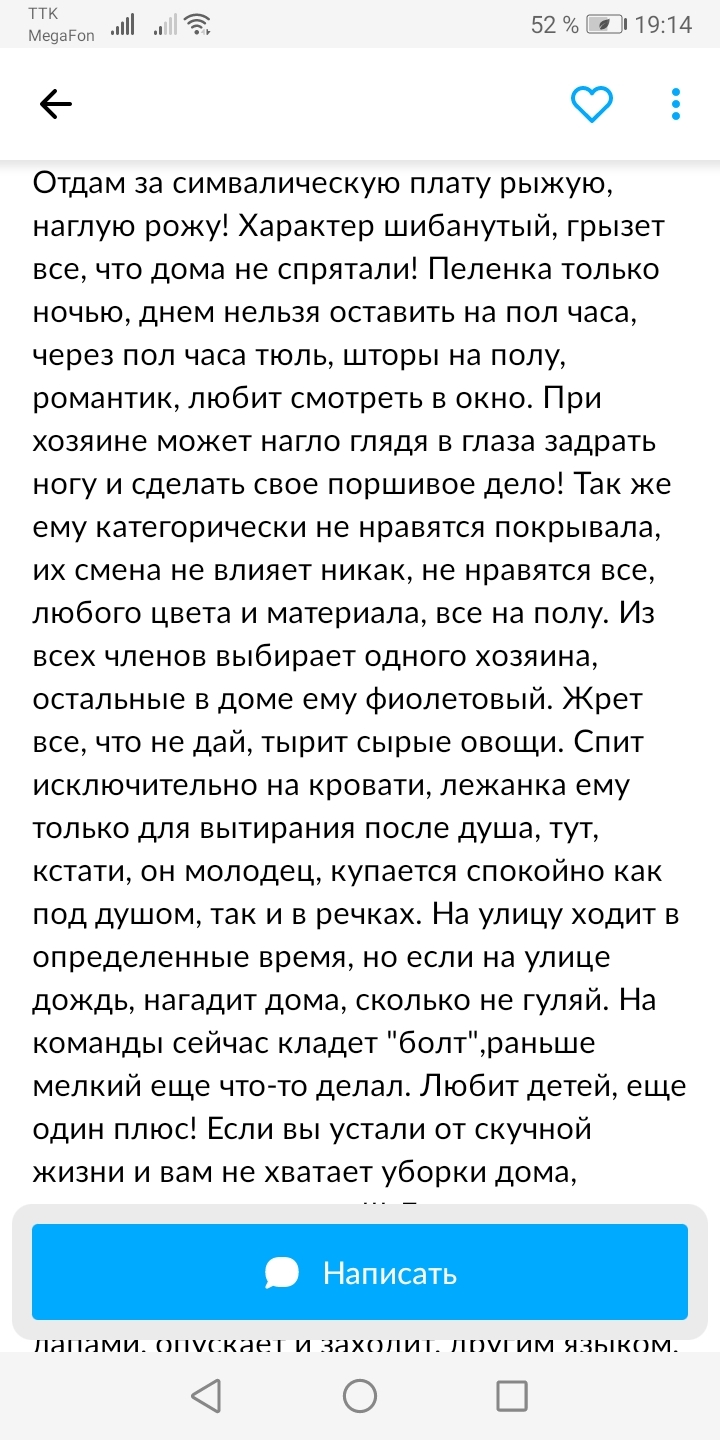 Что только не увидишь на Авито - Объявление на авито, Собака, Юмор, Длиннопост