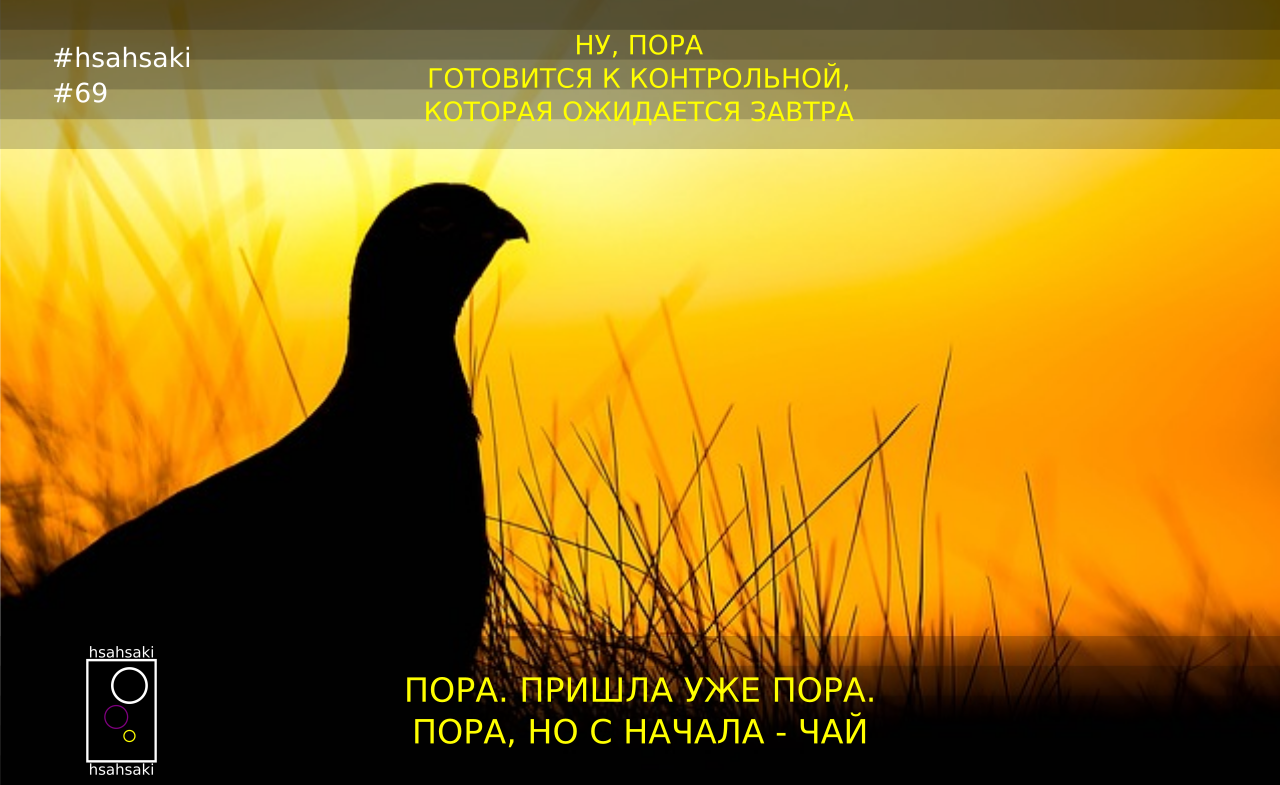 Мем про студентов hsahsaki 69.3: Пора готовиться студенту к контрольной работе, но сначала - чай - Моё, Вуз, Универ, Институт, Студенты, Мотивация, Контрольная, Подготовка, Вечер, , Чай, Животные, Птицы, Мемы, Юмор, Картинка с текстом, Картинки