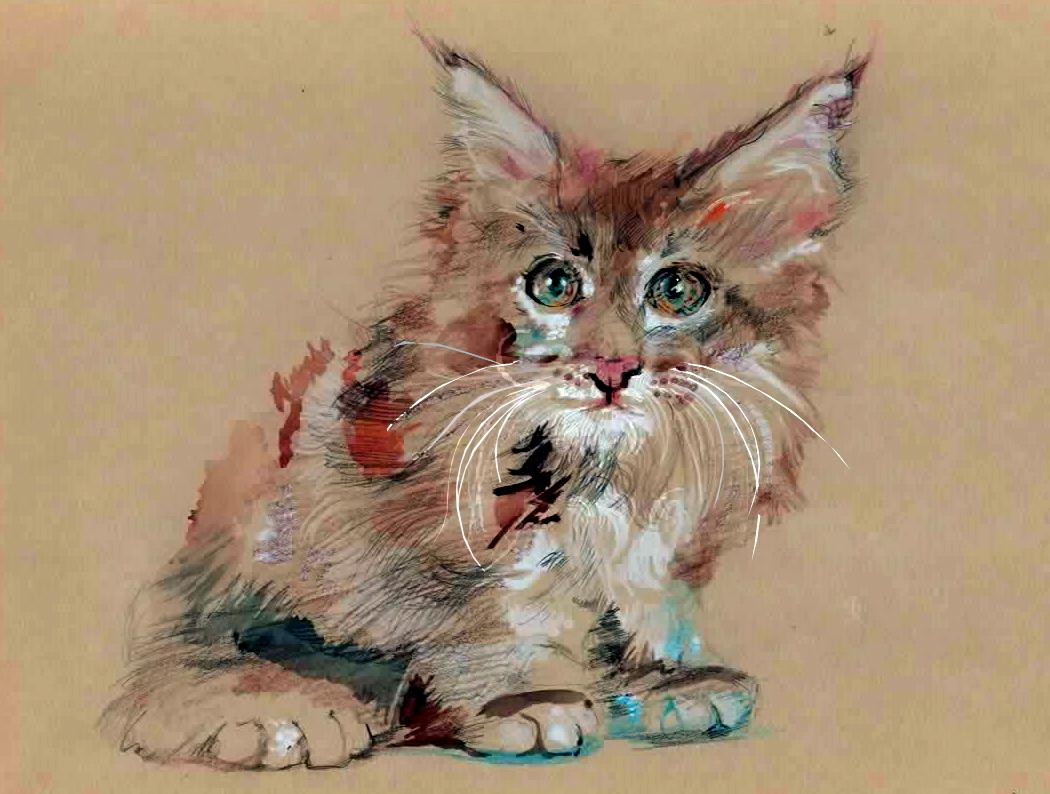 Кот, рисунок | Пикабу