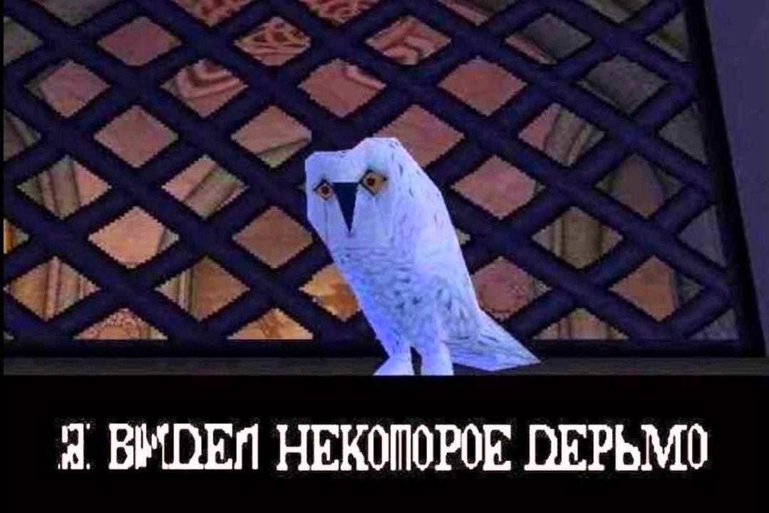 Гарри и сова теперь в Молдавии | Пикабу