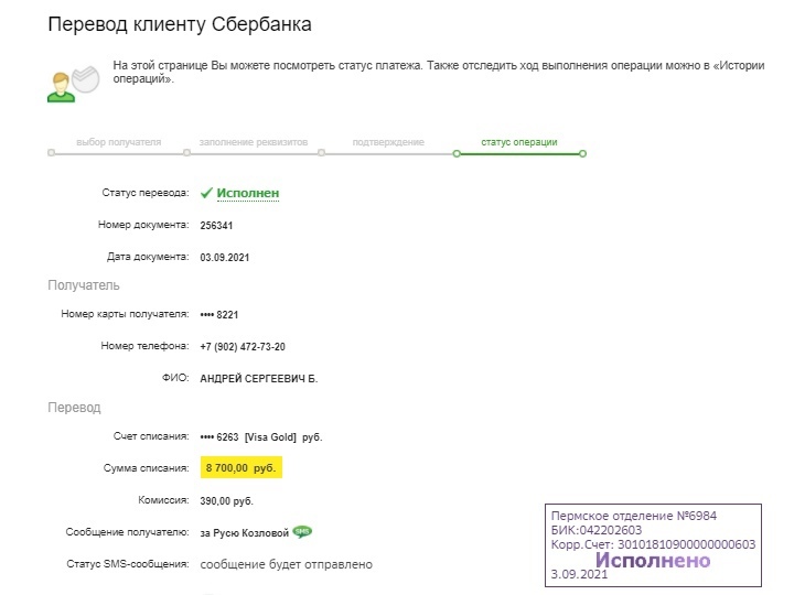 Отчет об оплате части долга Руси - Моё, Собака, Приют, Лечение, Помощь, Благотворительность, Длиннопост