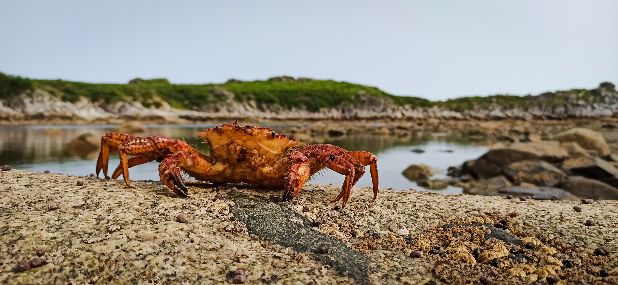 Море Любительское Фото