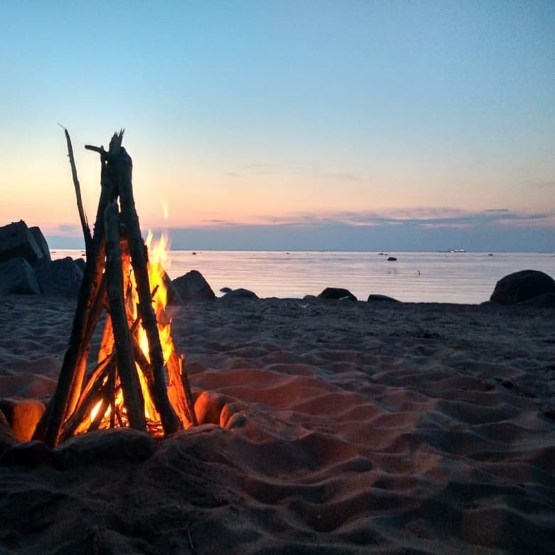 Моя небольшая солянка - Моё, Черное море, Мобильная фотография, Луга, Финский залив, Природа, Море, Длиннопост