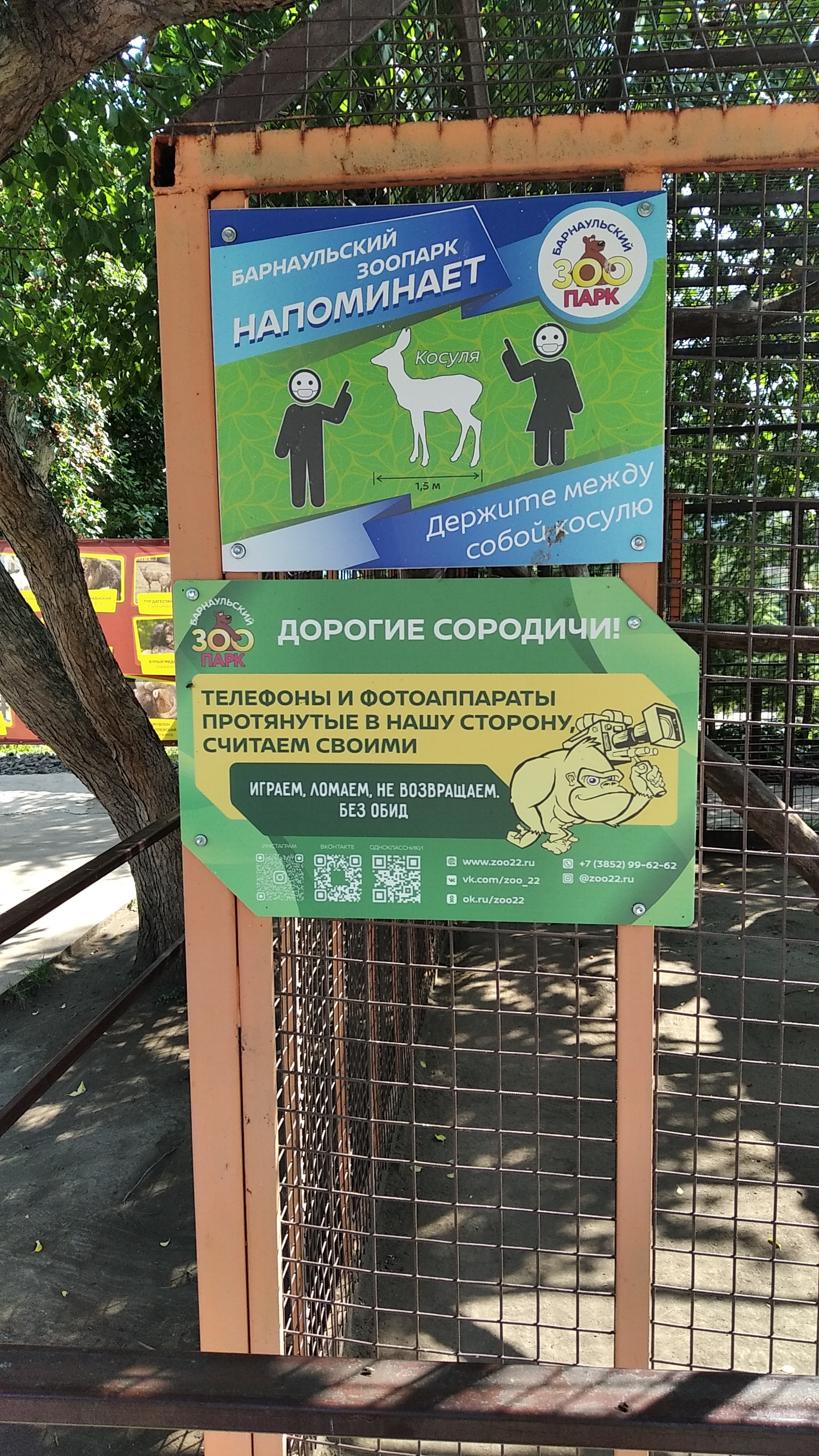 In the animal world - My, Zoo, Barnaul, Humor, Longpost