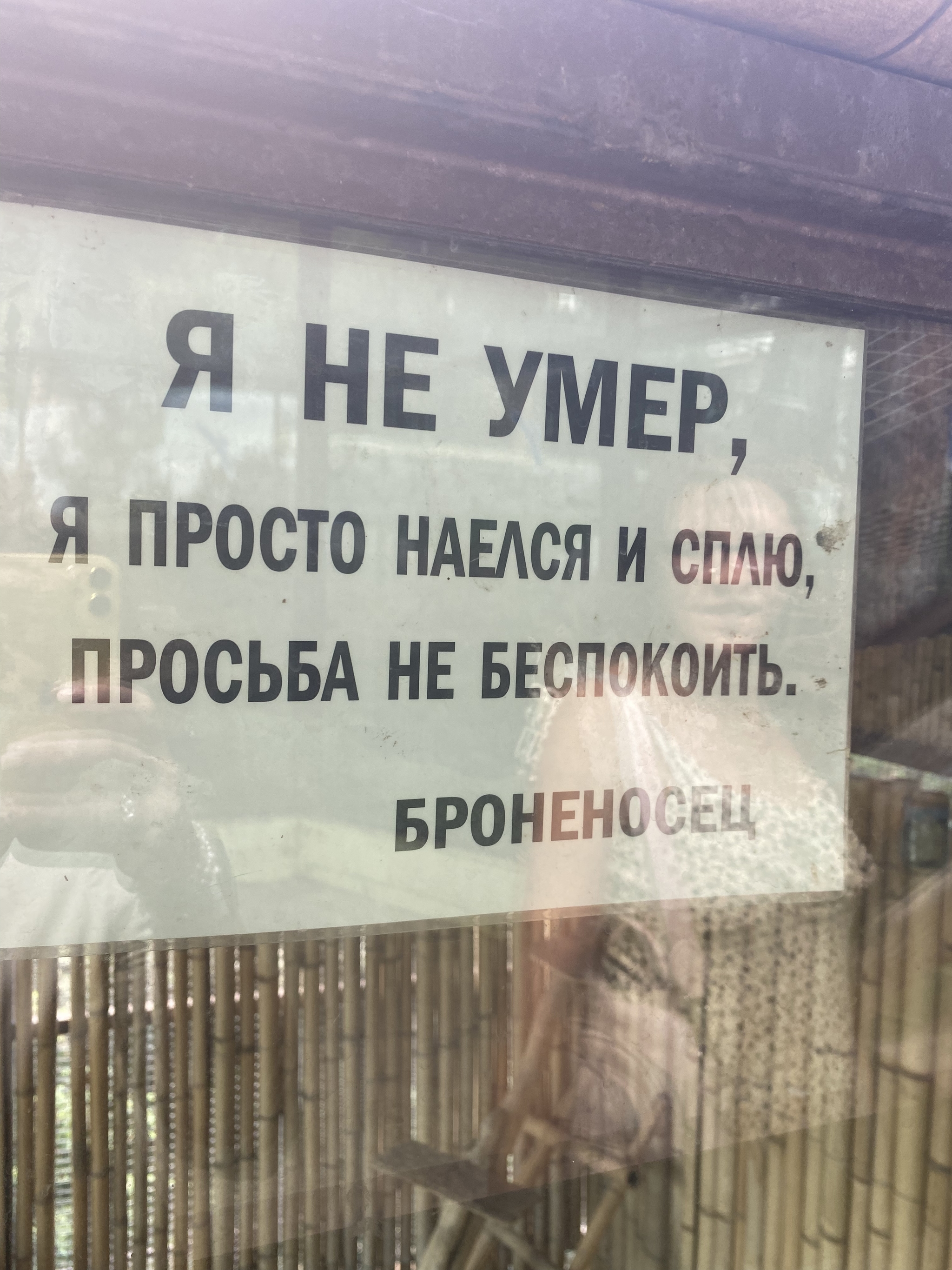 Ничто не беспокоило сон