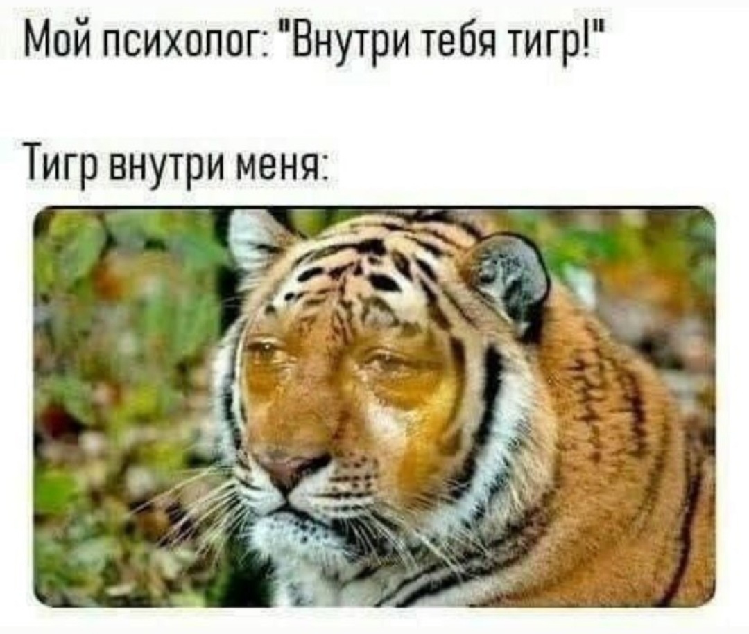 Тигр - Тигр, Психолог, Повтор