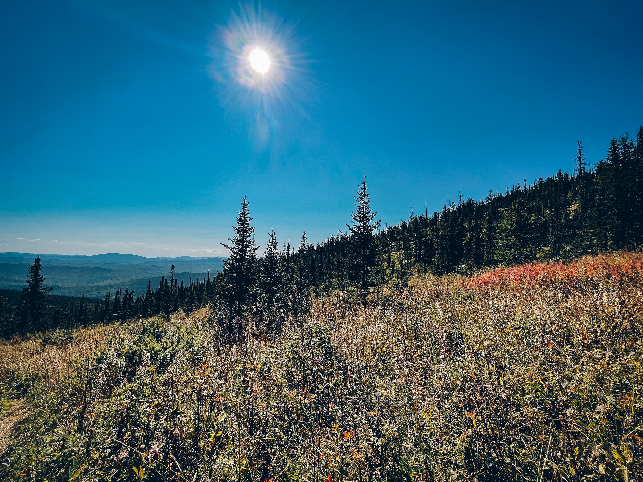 Saturday. - My, Krasnoyarsk region, The mountains, Hike, Hiking, Dog, The photo, Holidays in Russia, Leisure, Longpost