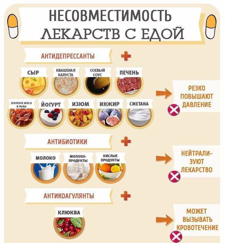 What food and medicines are better not to combine - Medications, Food, Healthy lifestyle, Health