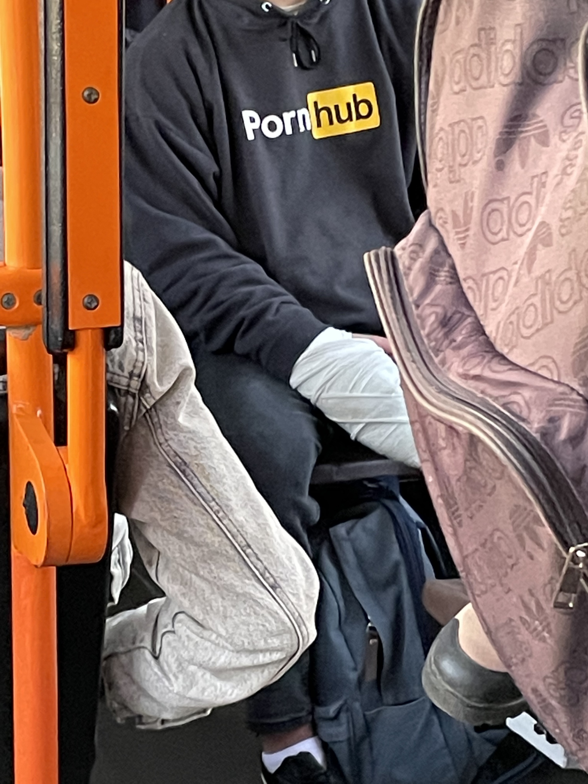 true fan)) - My, Pornhub, Masturbation, Bus, The photo