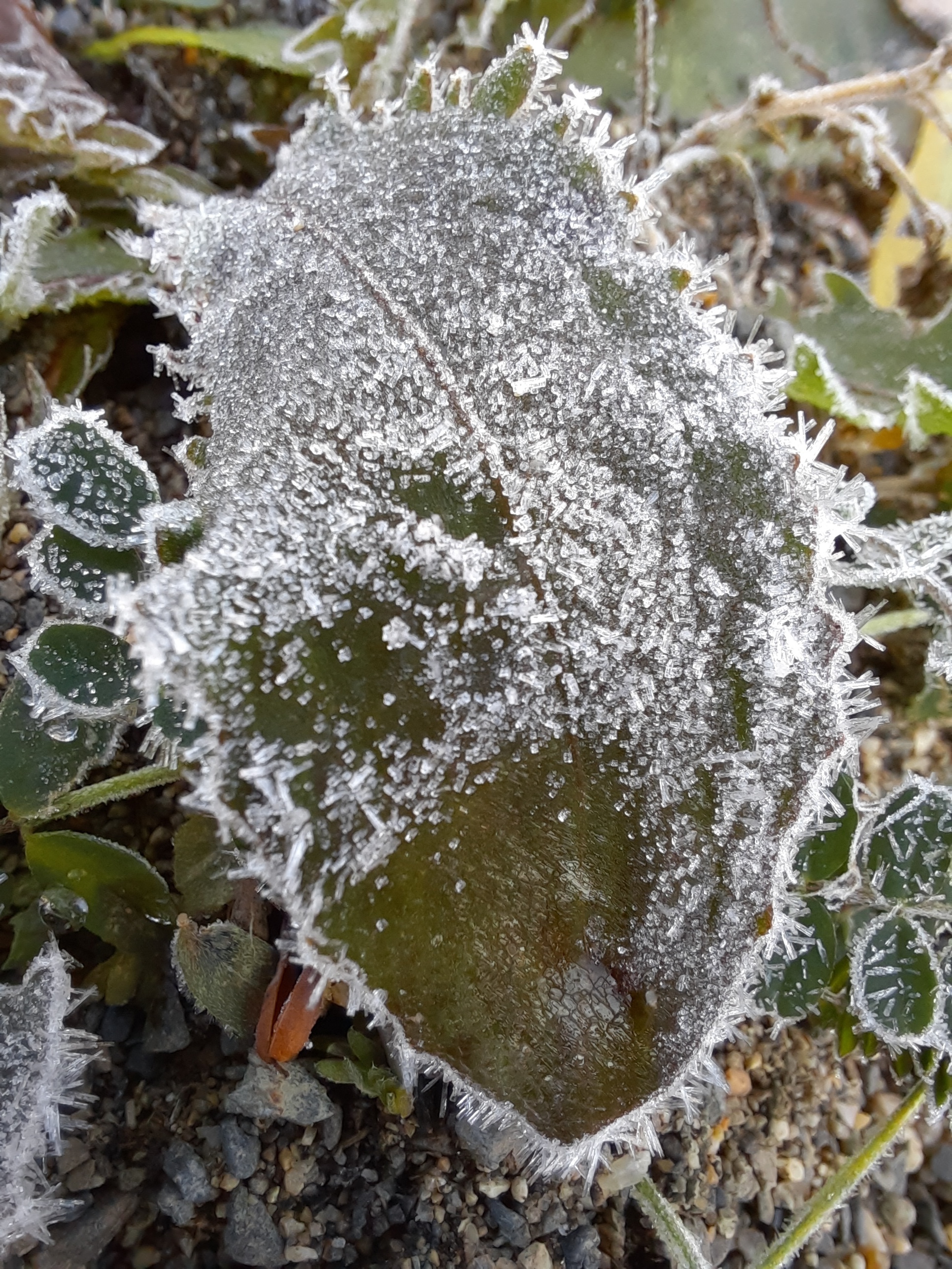 It's getting colder - My, Magadan Region, Дальний Восток, Longpost