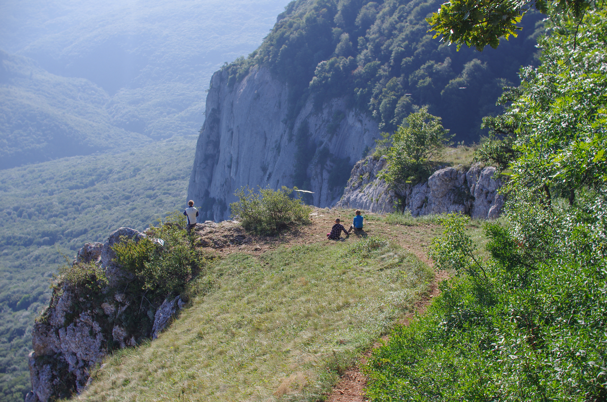 Hike with the family to Barskaya Polyana - My, Hike, Family, Crimea, Pentax, September, Emotions, White-headed vulture, Longpost, The photo