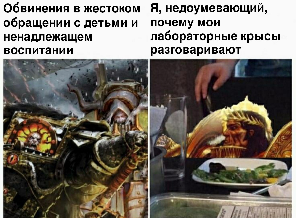 Типичный Император - Warhammer 40k, Wh Humor, Император человечества, Примархи, Две женщины орут на кота