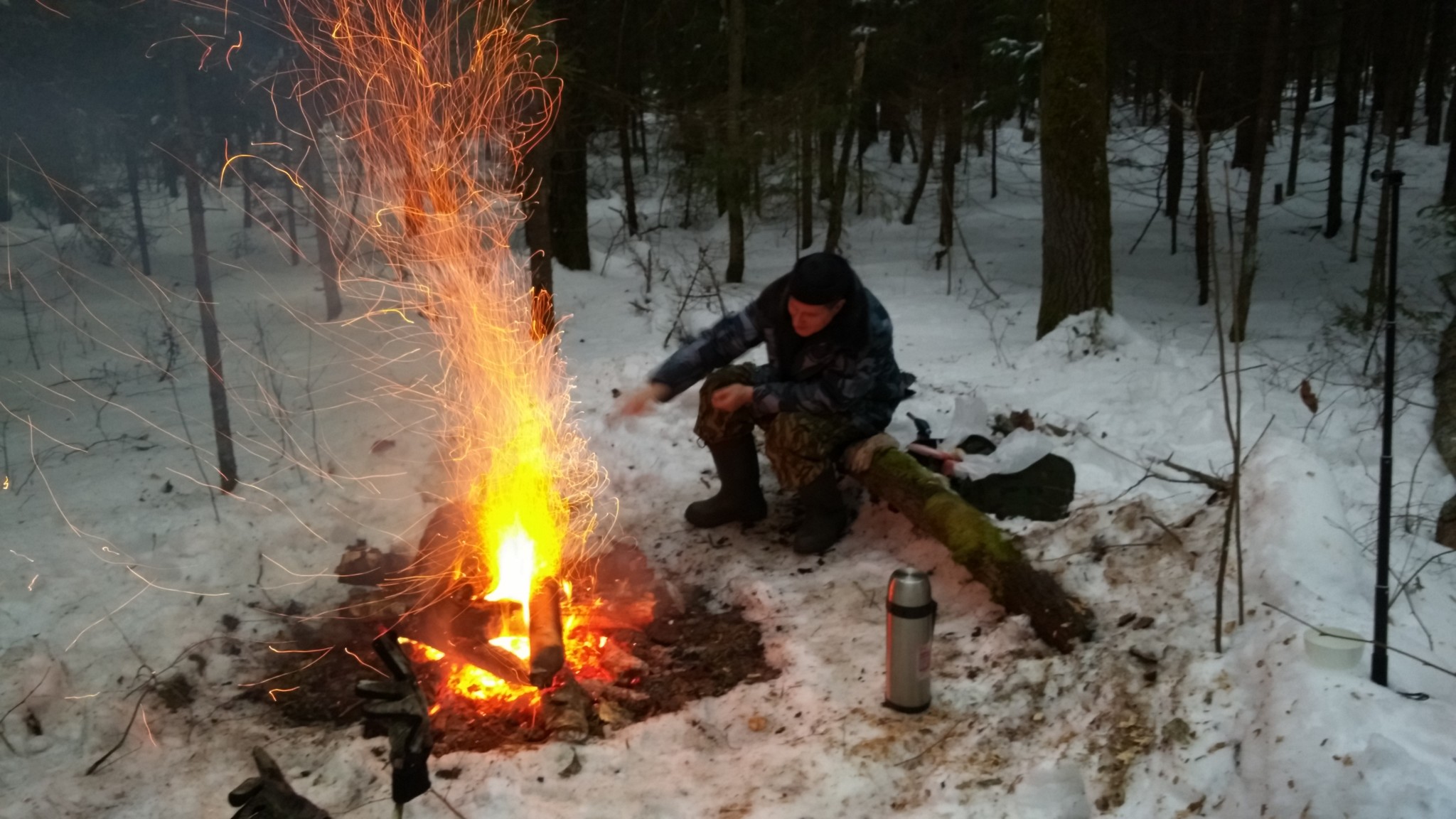 To the forest with your firewood - My, Forest, Hike, Friend, Longpost