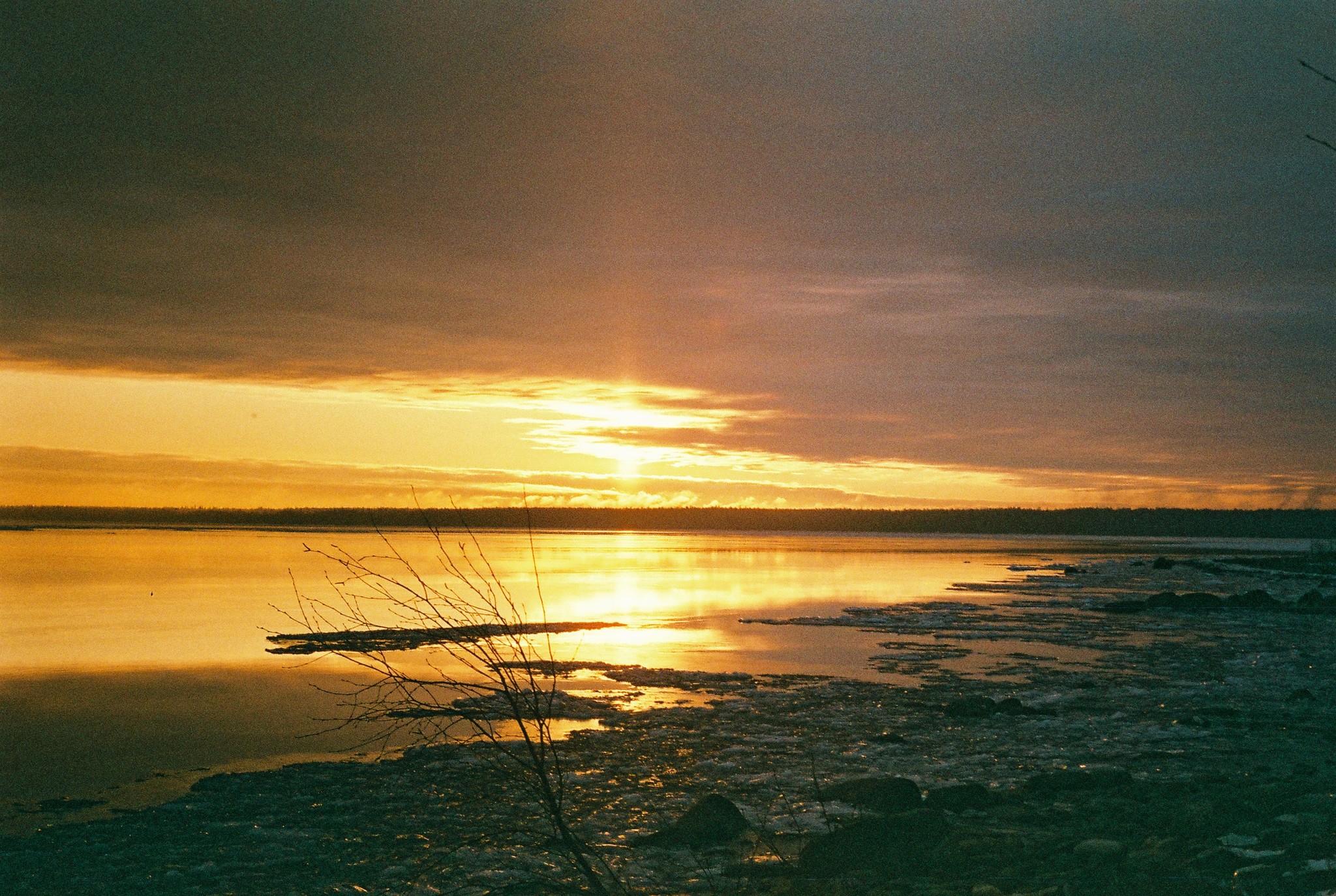 landscape photos - My, Beginning photographer, Film, camera roll, Zenit-Et, Helios44, Longpost