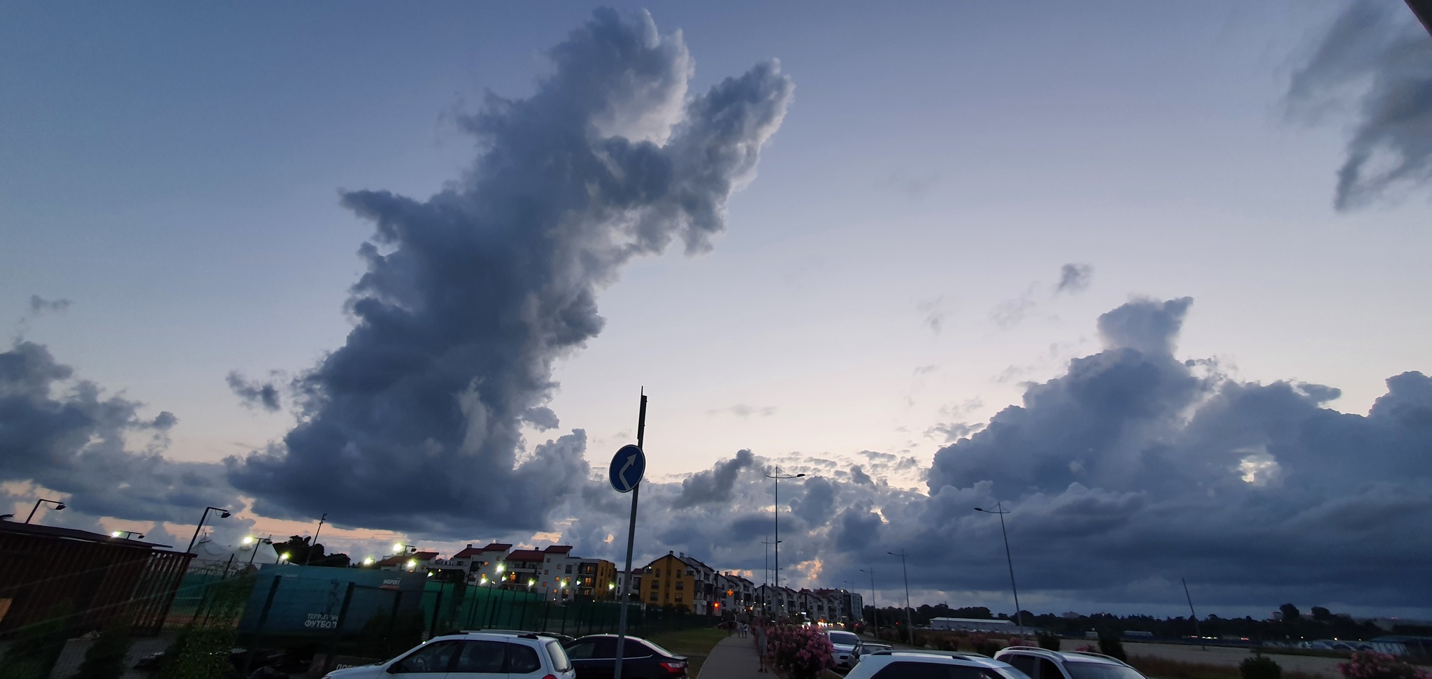 praying cat - My, Sirius, Sochi, Adler, cat, Clouds