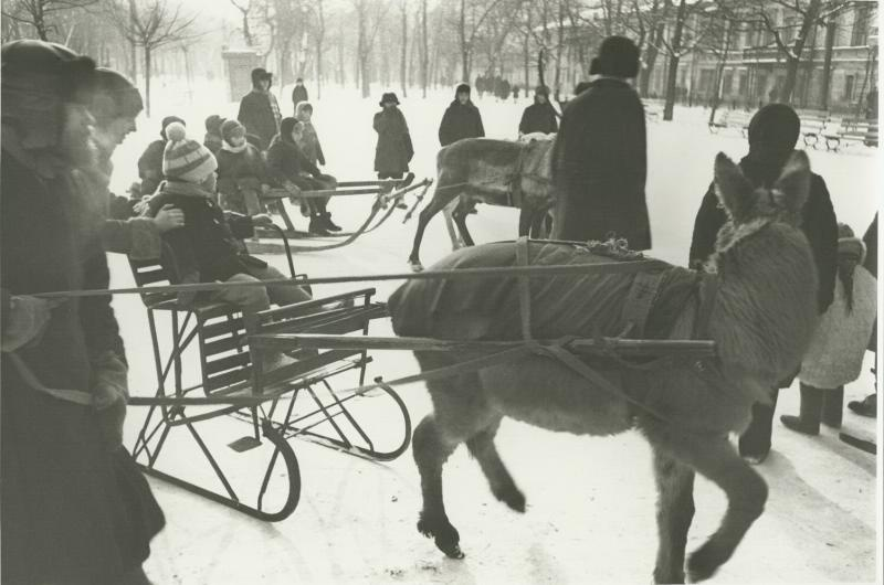 Старые фотографии № 111 - История, СССР, Фотография, Подборка, Ретро, Длиннопост, Черно-белое фото, Историческое фото