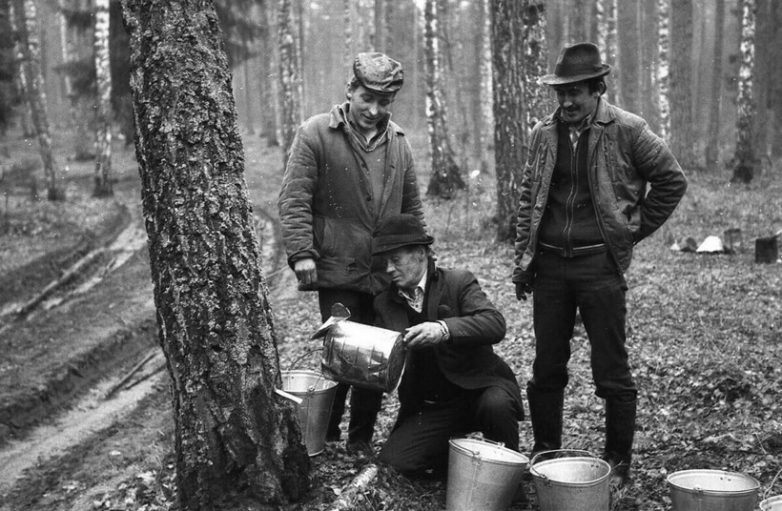 Birch sap in the Soviet Union. Why isn't it being sold now? - Juice, Birch juice, the USSR, Childhood, Longpost