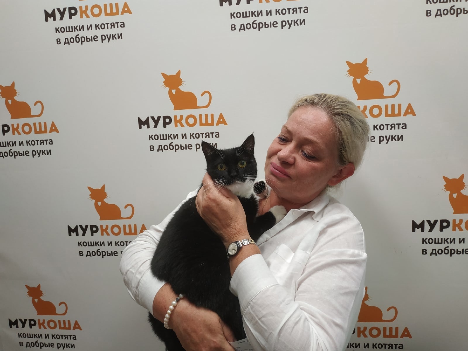 We are glad to share our successes with you! - My, Murkosh shelter, Animal shelter, cat, Touching, Making the World Better, Found a home, Positive, Video, Longpost