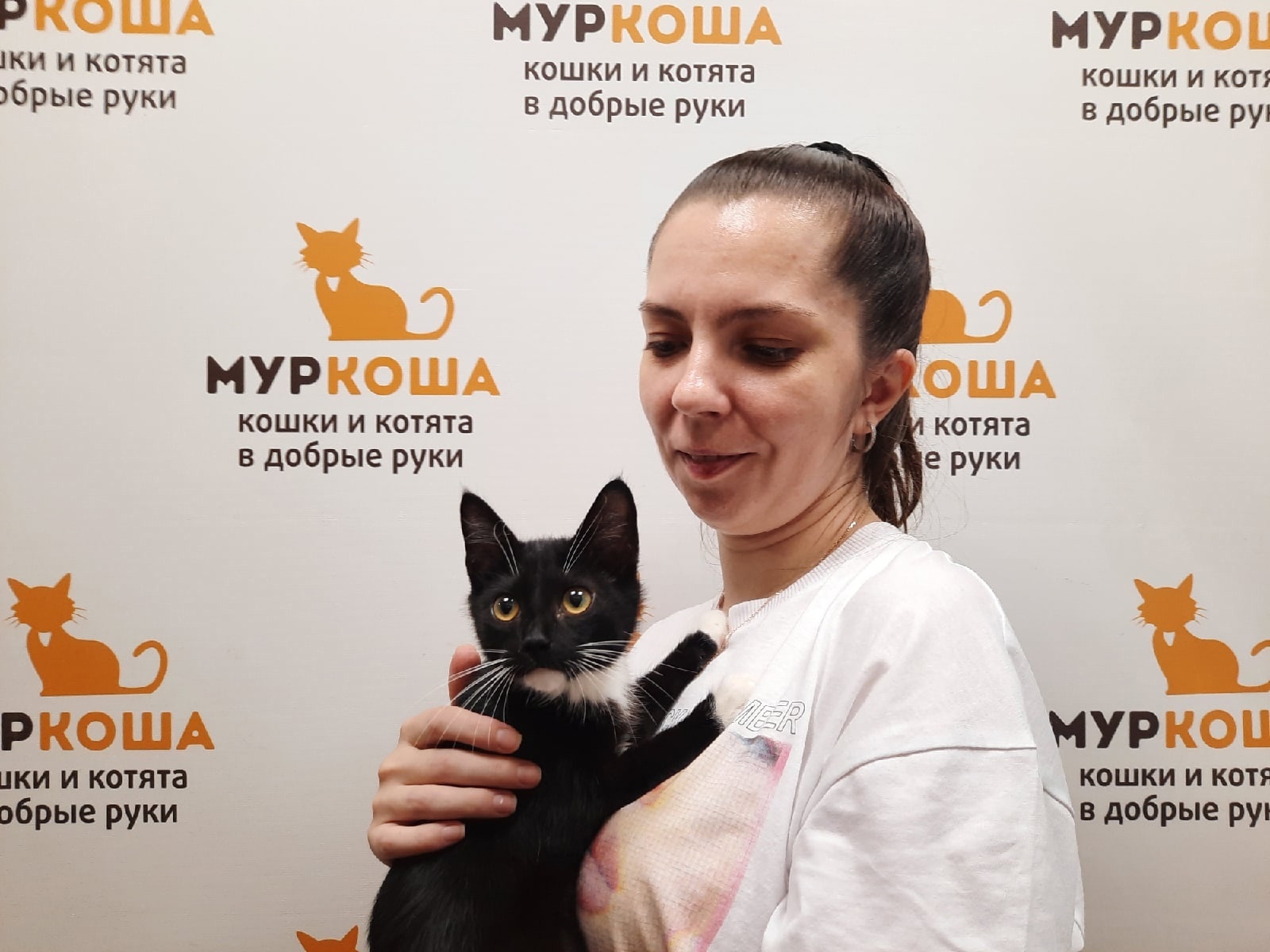 We are glad to share our successes with you! - My, Murkosh shelter, Animal shelter, cat, Touching, Making the World Better, Found a home, Positive, Video, Longpost