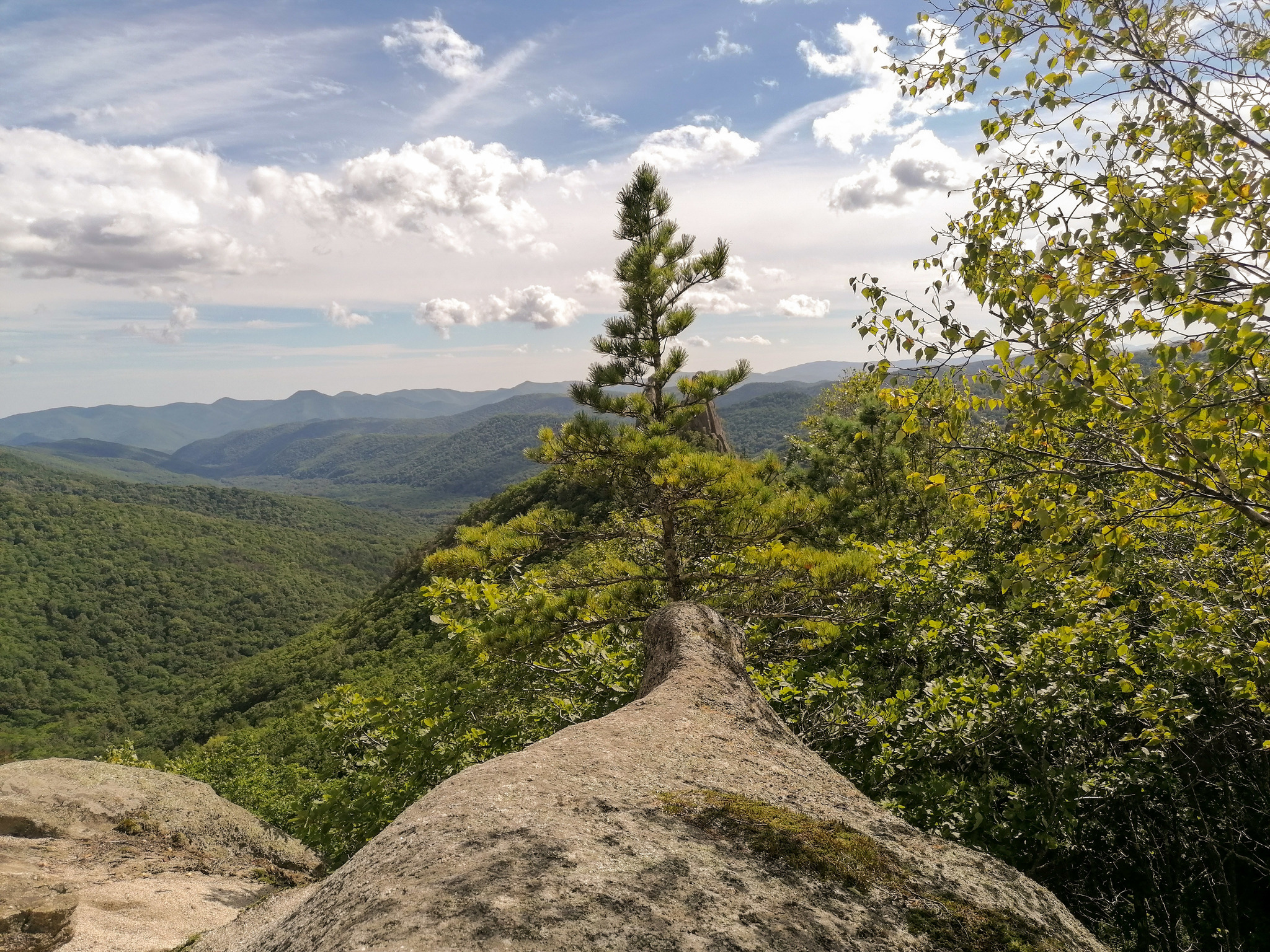 Sleeping dragons of Primorye - My, Nature, The mountains, Primorsky Krai, Дальний Восток, Dragon Park, Mystic, Longpost