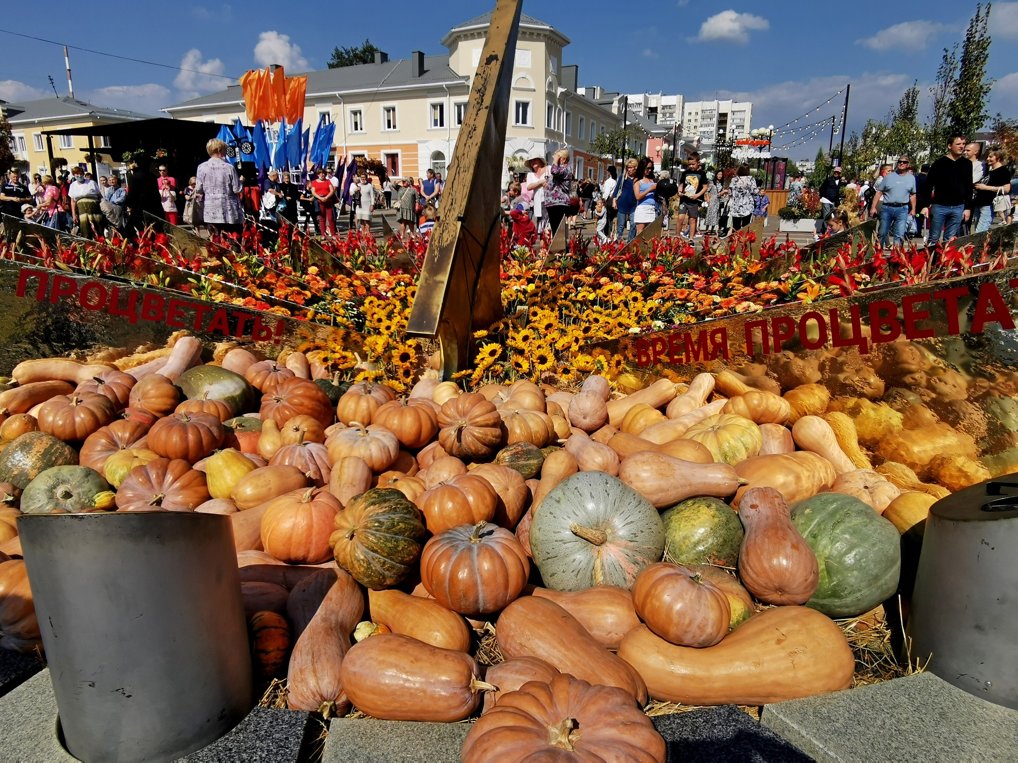 Белгород в цветах 11.09.21г - Моё, Белгород, Город, Цветы, Красота, Уличная фотография, Длиннопост