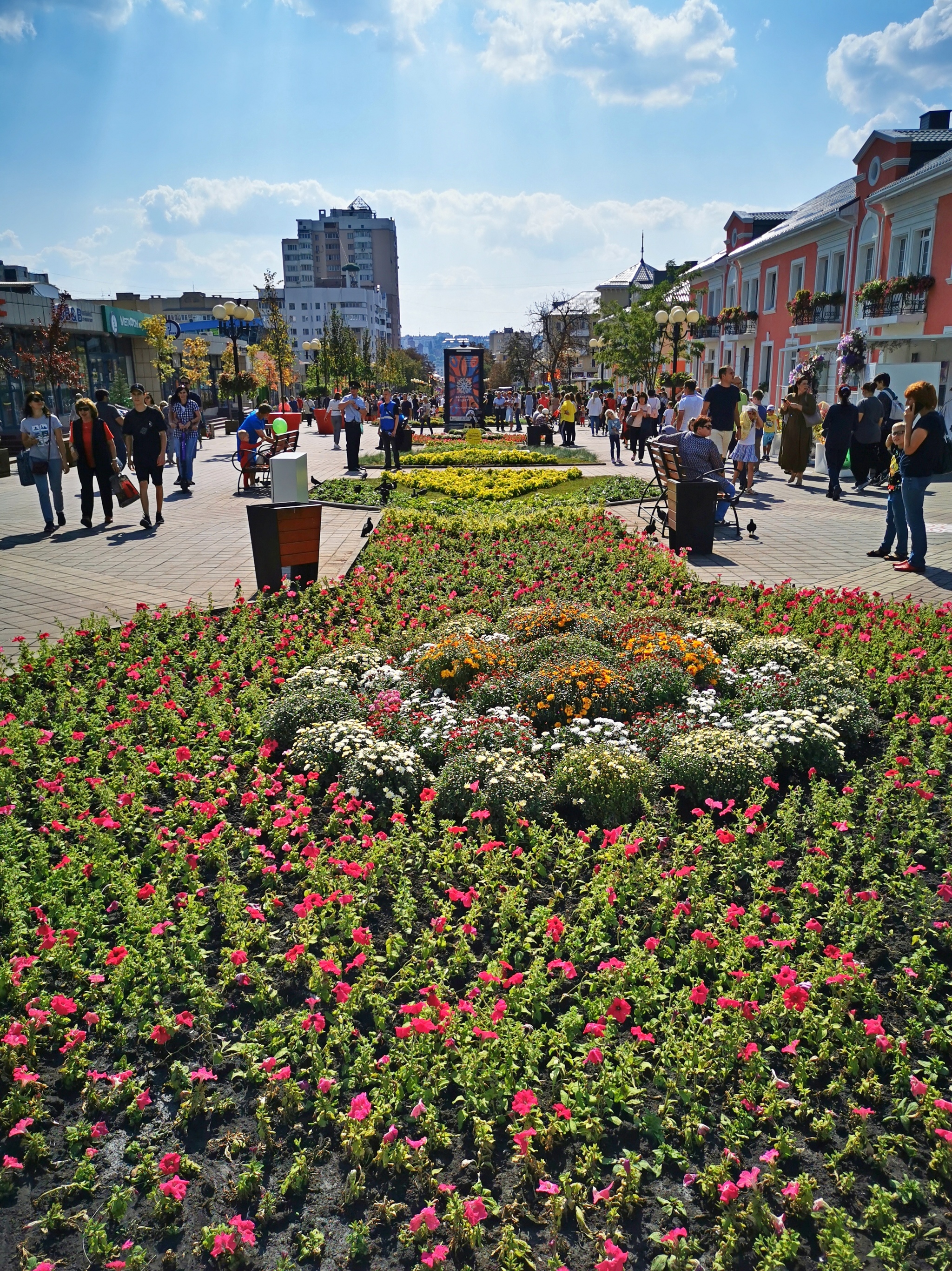 Белгород в цветах 11.09.21г - Моё, Белгород, Город, Цветы, Красота, Уличная фотография, Длиннопост