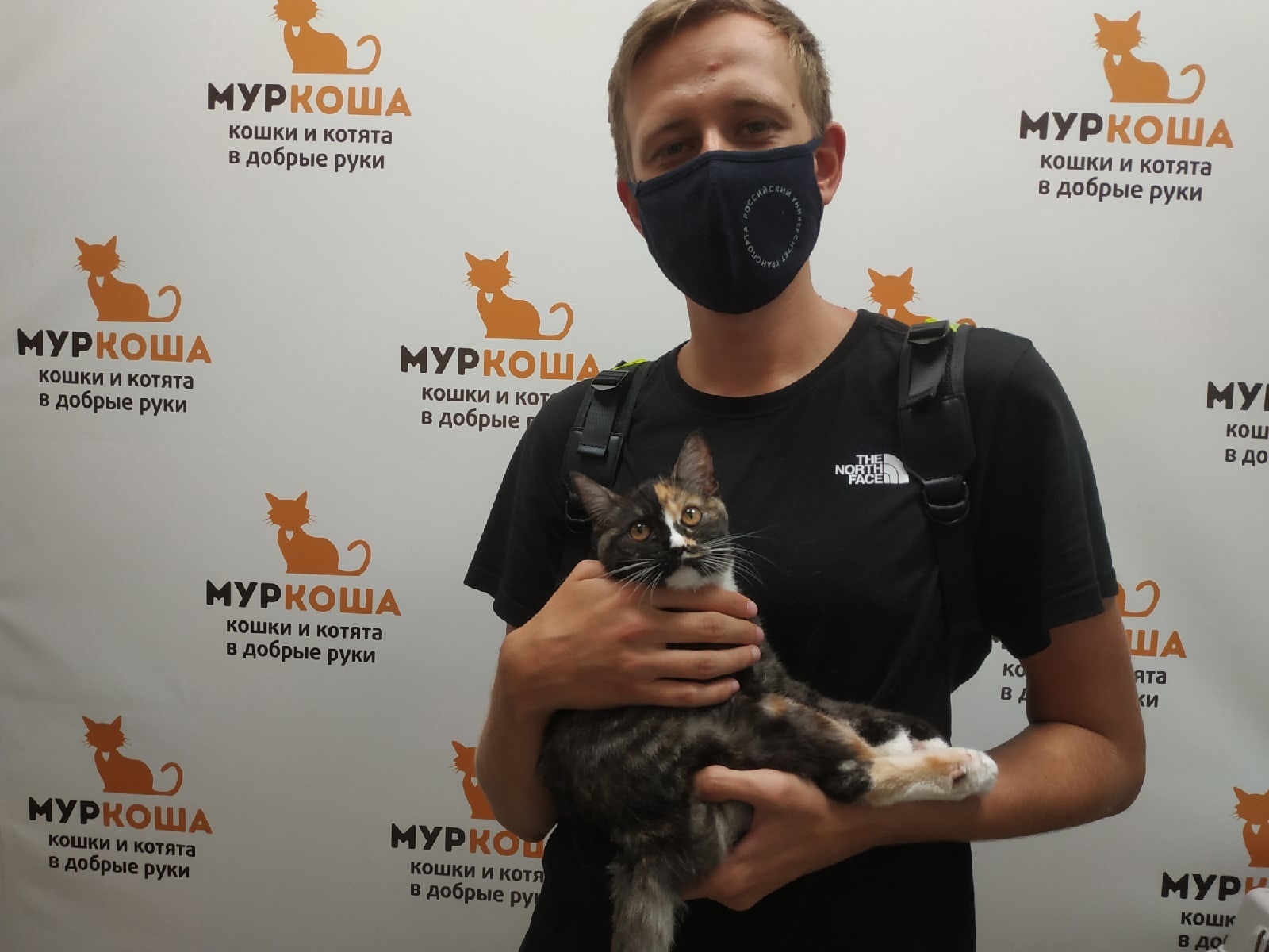 We are glad to share our successes with you! - My, Murkosh shelter, Animal shelter, cat, Touching, Making the World Better, Found a home, Positive, Video, Longpost