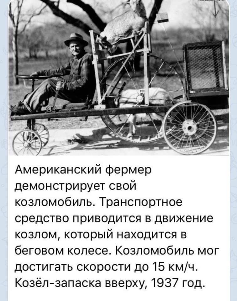 Ecotransport - Farmer, Inventions, Auto, Goat, Animals, Picture with text