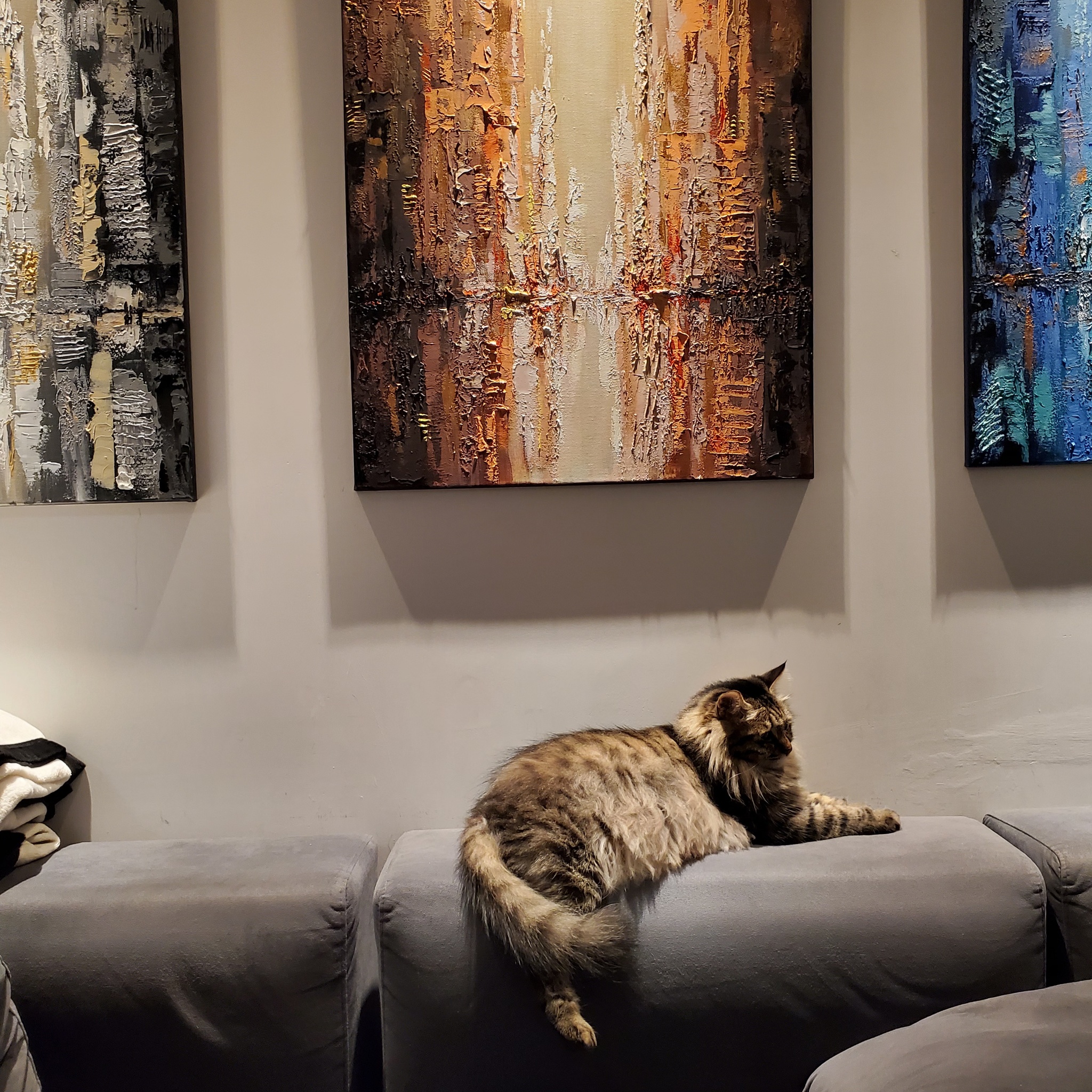 Museum Keeper - My, cat, Art, Painting, Longpost