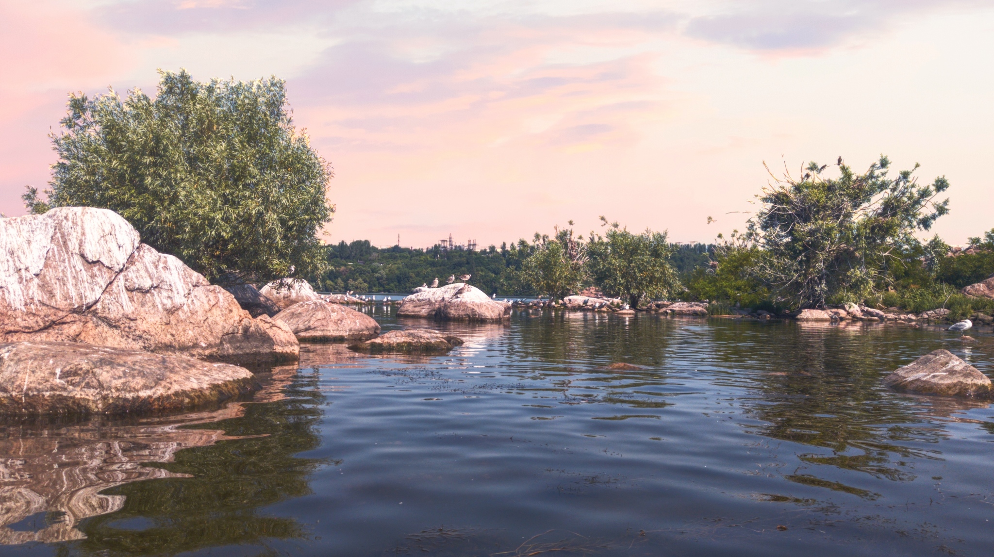 Inhabitants near the Dnieper - My, Landscape, Travels, Dnieper, Birds, Sunset, Longpost