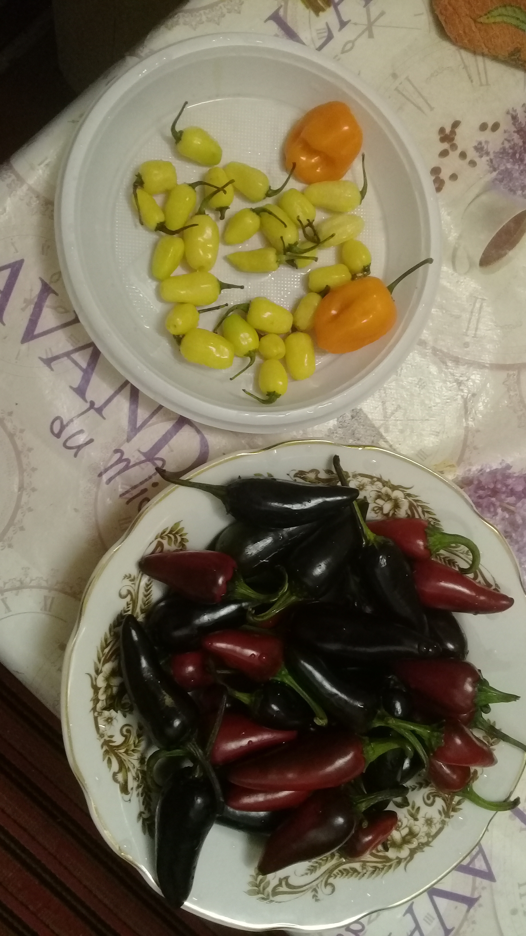 My peppers. - My, Hot peppers, Pepper farming, Vegetable garden on the windowsill, Jalapeno, Habanero, Harvest, Longpost