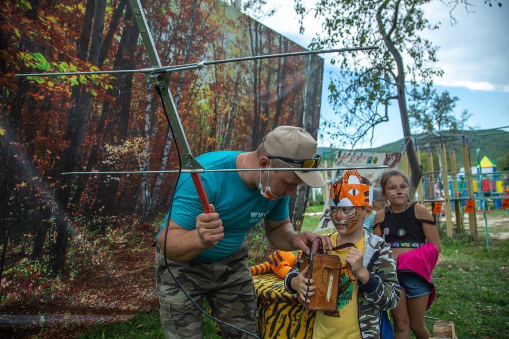 Tiger Day celebrated in the north of Primorye - Sikhote-Alin Reserve, Eco-city, Nature, Ecology, Longpost