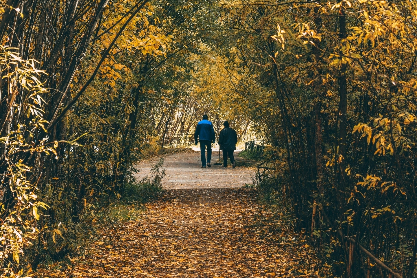 Well hello autumn! - My, Autumn, Neryungri, Yakutia, Canon, Lightroom, Longpost