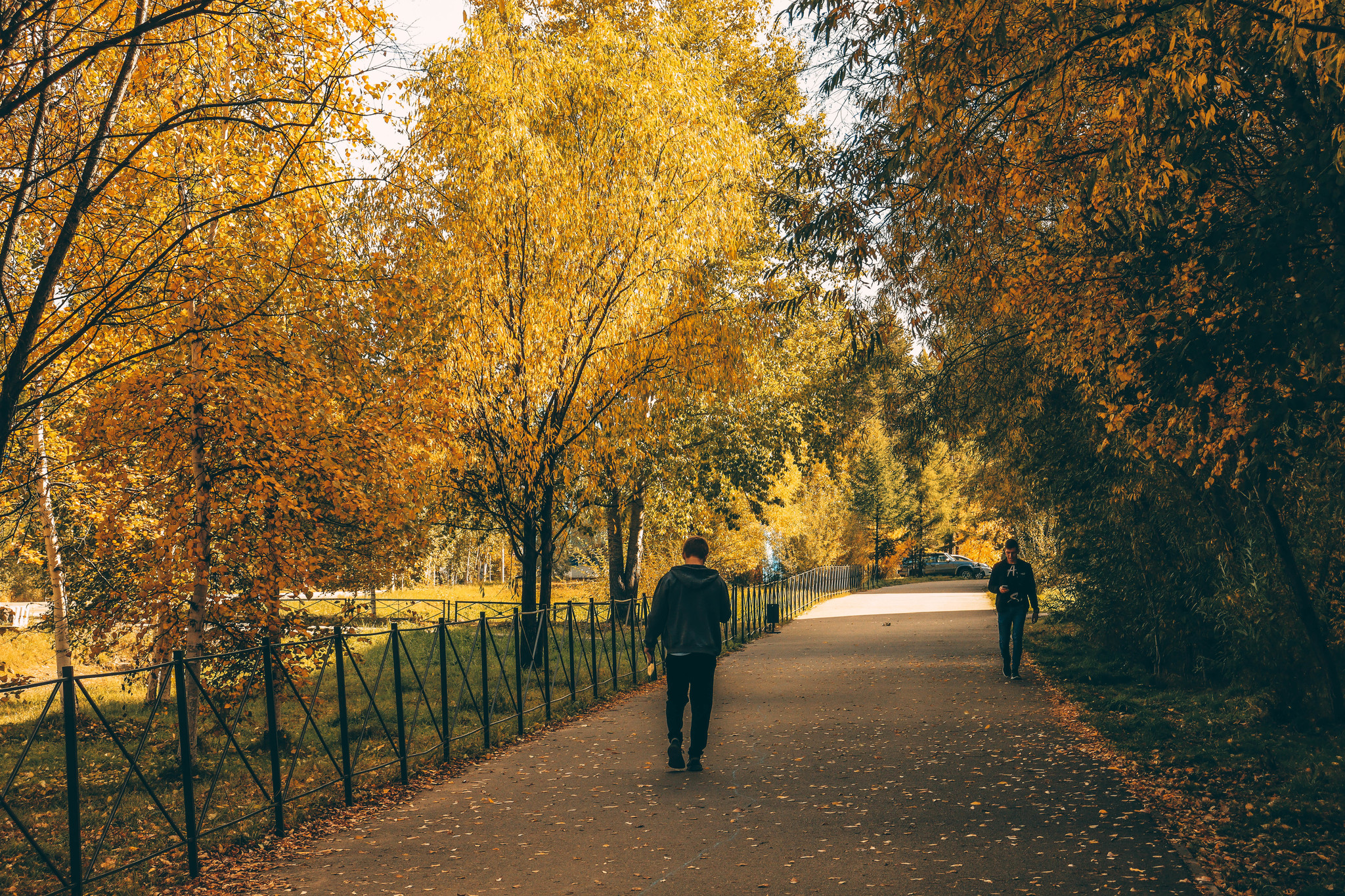 Well hello autumn! - My, Autumn, Neryungri, Yakutia, Canon, Lightroom, Longpost