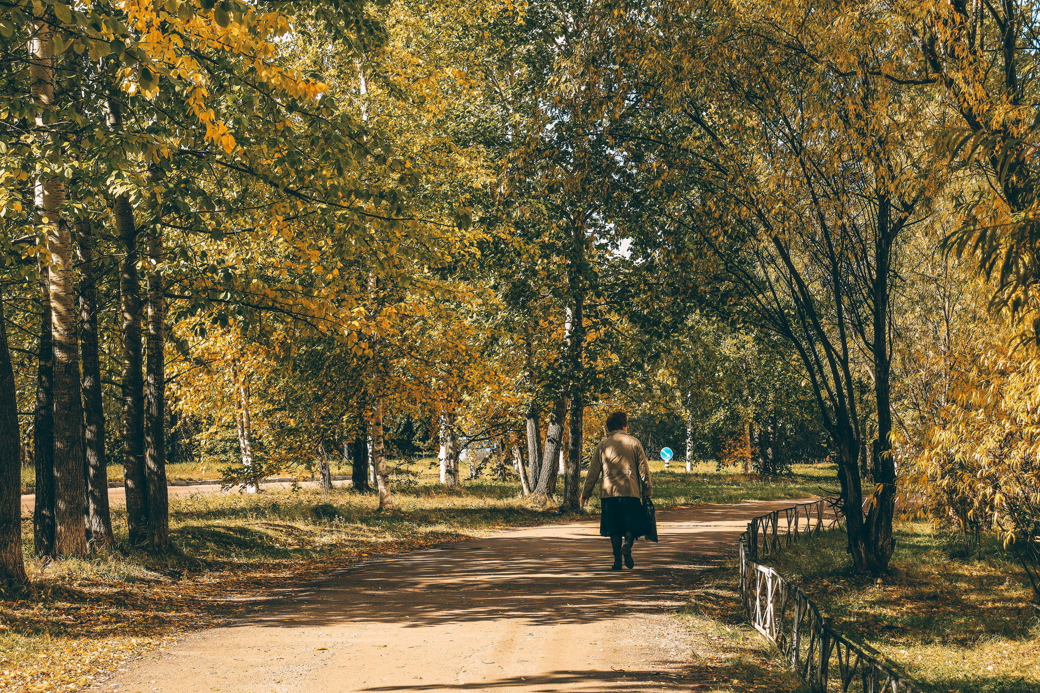 Well hello autumn! - My, Autumn, Neryungri, Yakutia, Canon, Lightroom, Longpost