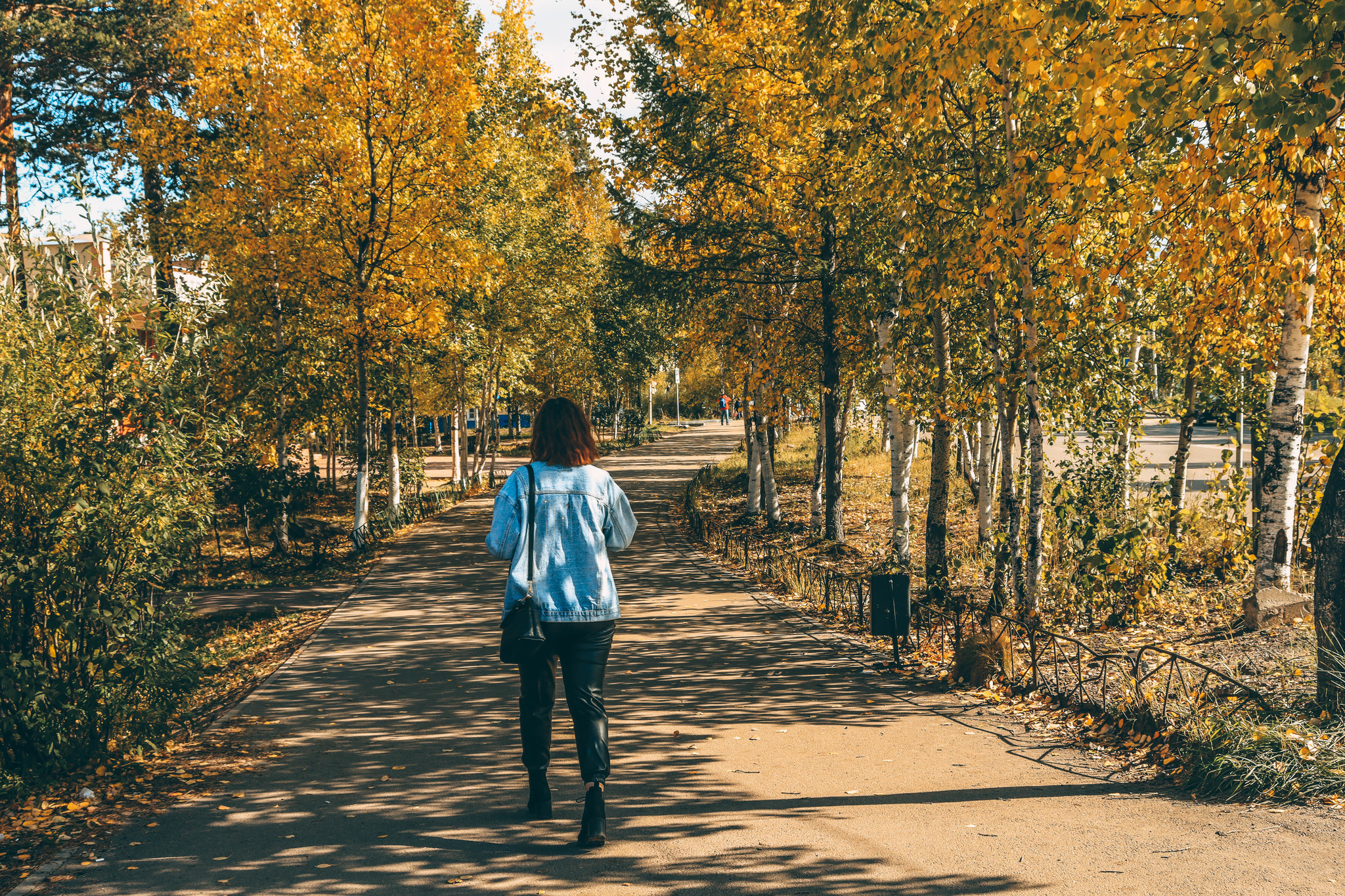 Well hello autumn! - My, Autumn, Neryungri, Yakutia, Canon, Lightroom, Longpost