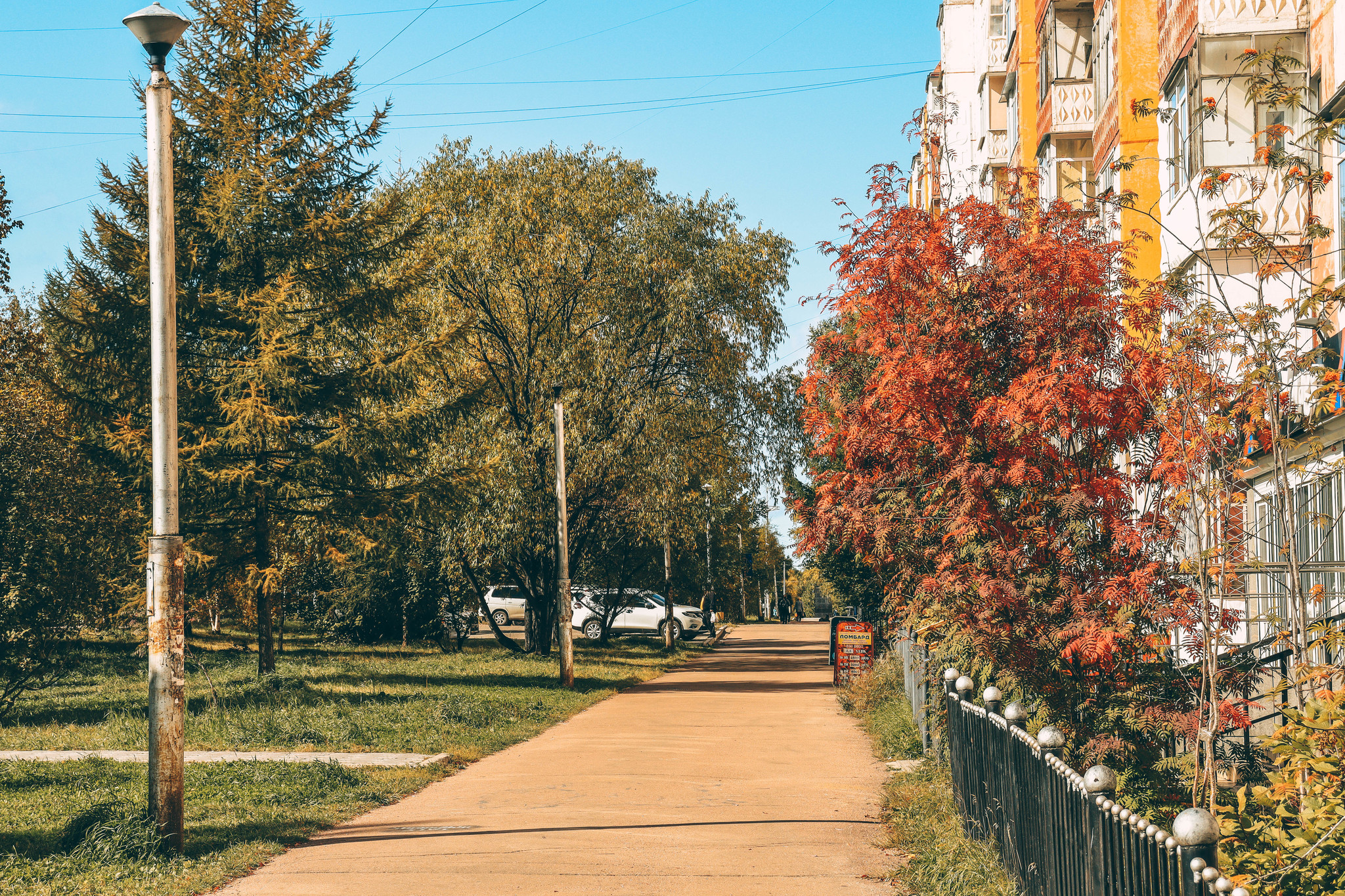 Well hello autumn! - My, Autumn, Neryungri, Yakutia, Canon, Lightroom, Longpost